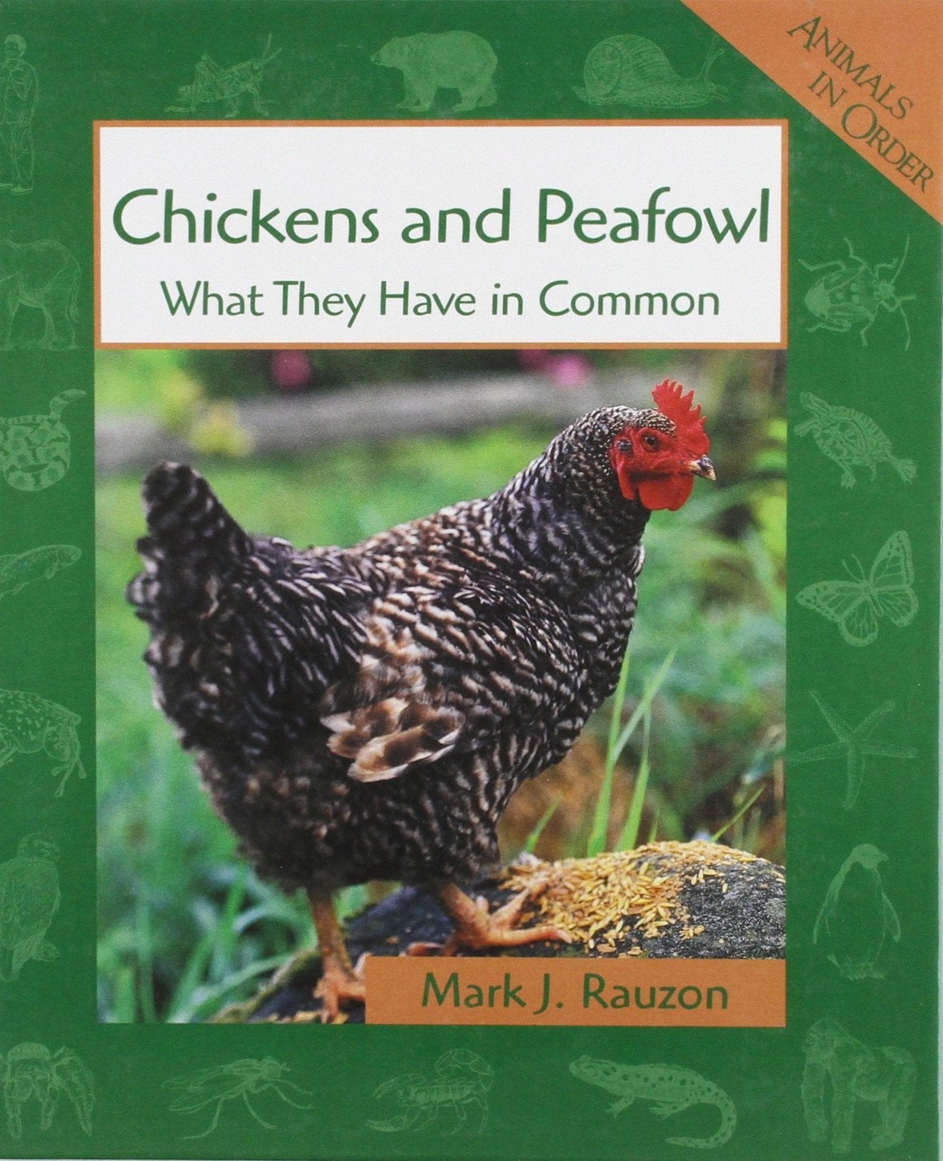 Chickens and Peafowl: What They Have in Common (Animals in Order) Non-fiction