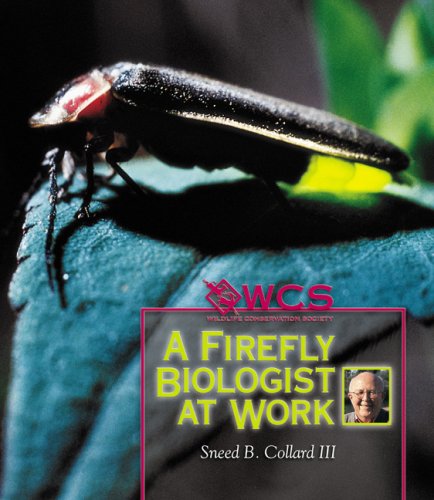 A Firefly Biologist at Work (Wildlife Conservation Society Books) Non-fiction