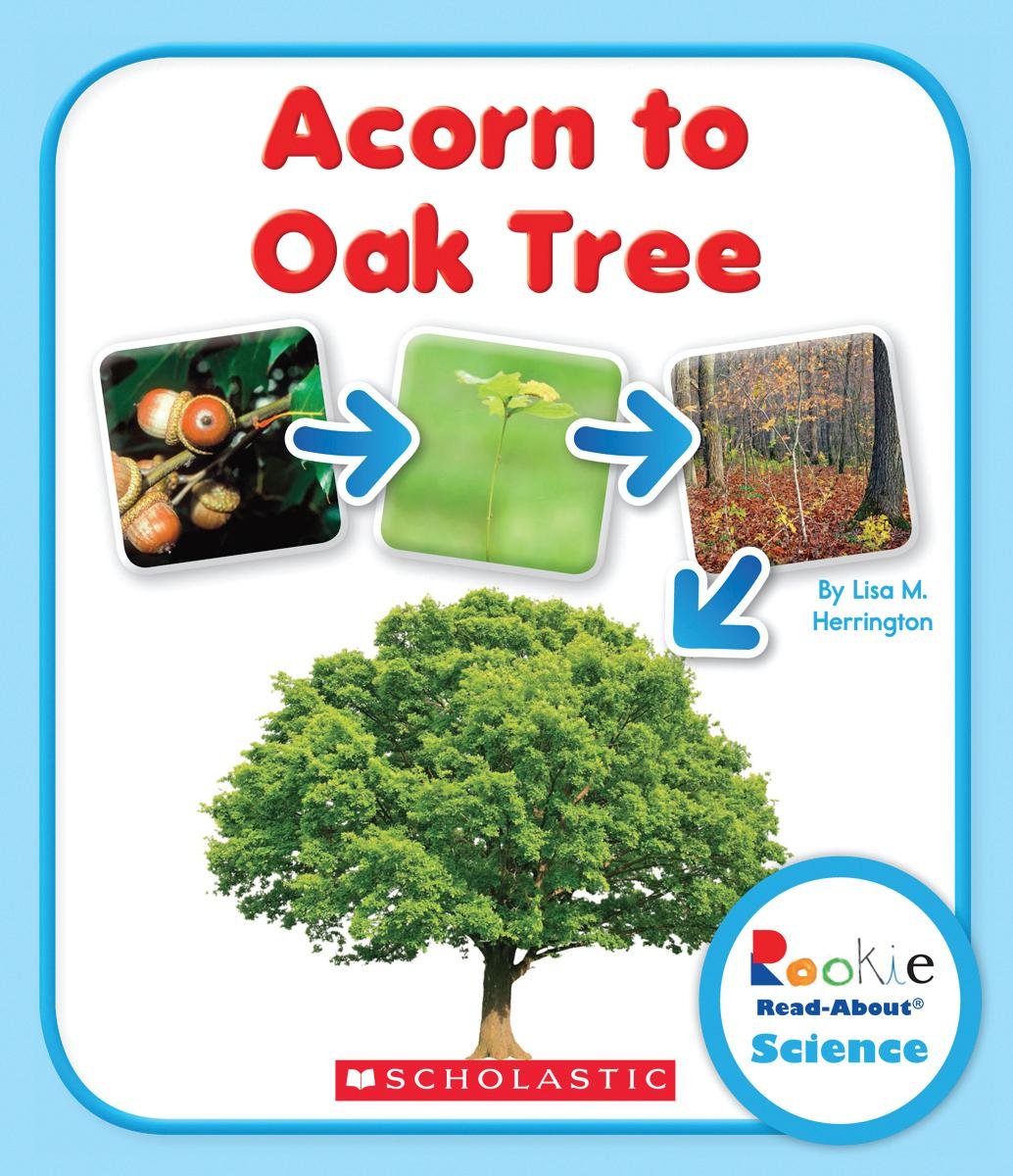 Acorn to Oak Tree (Rookie Read-About Science) Novels & Short Stories