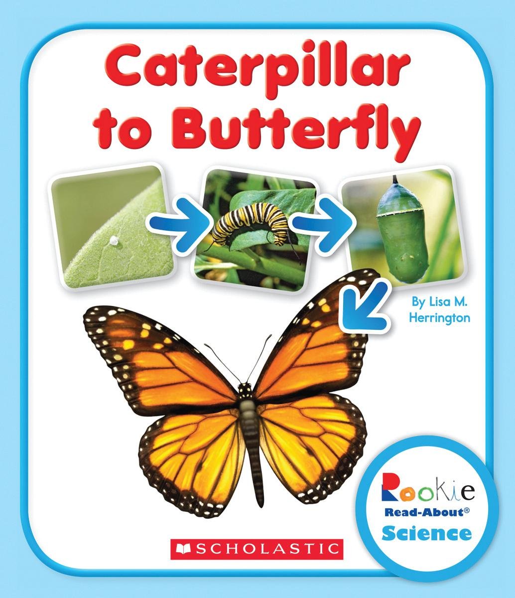 Caterpillar to Butterfly (Rookie Read-About Science) Novels & Short Stories