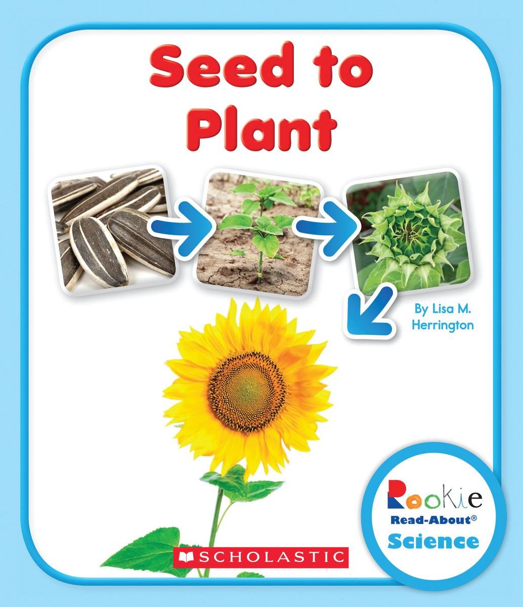 Seed to Plant (Rookie Read-About Science) Study Guides