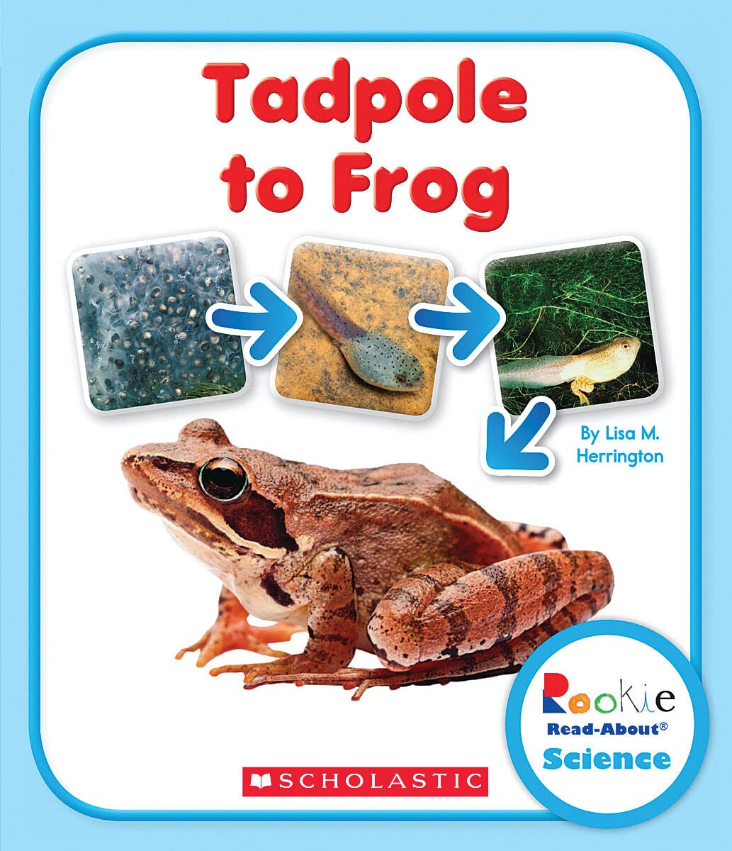 Tadpole to Frog (Rookie Read-About Science: Life Cycles) Novels & Short Stories
