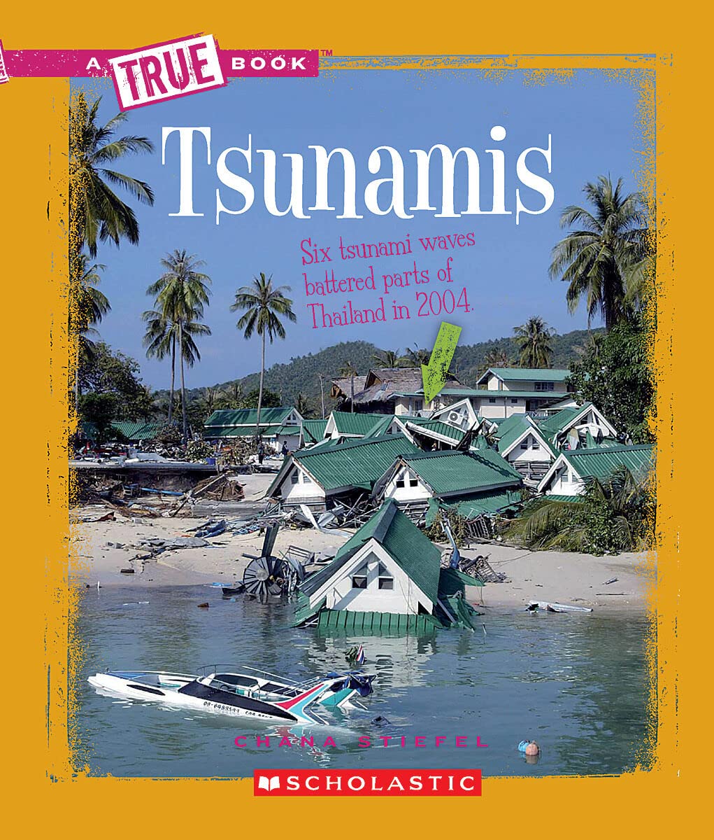 Tsunamis (A True Book) Non-fiction books for kids