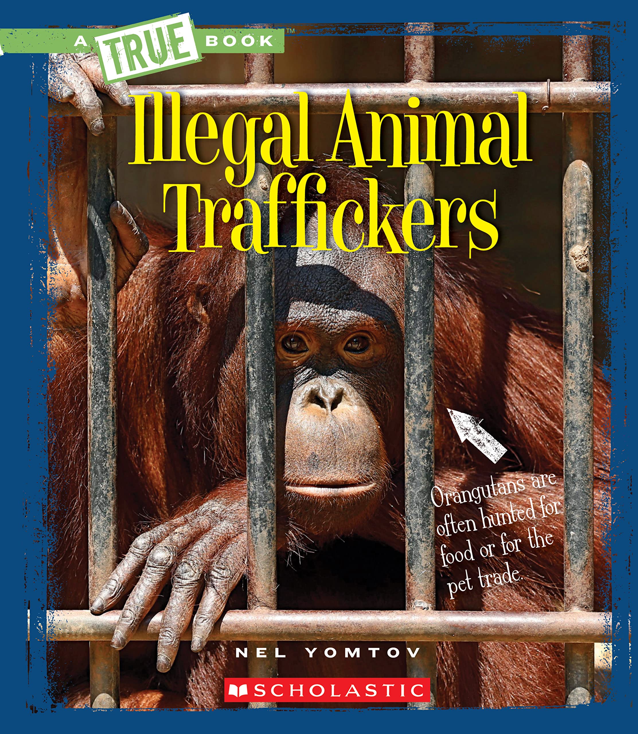 Illegal Animal Traffickers (a True Book: The New Criminals) Memories