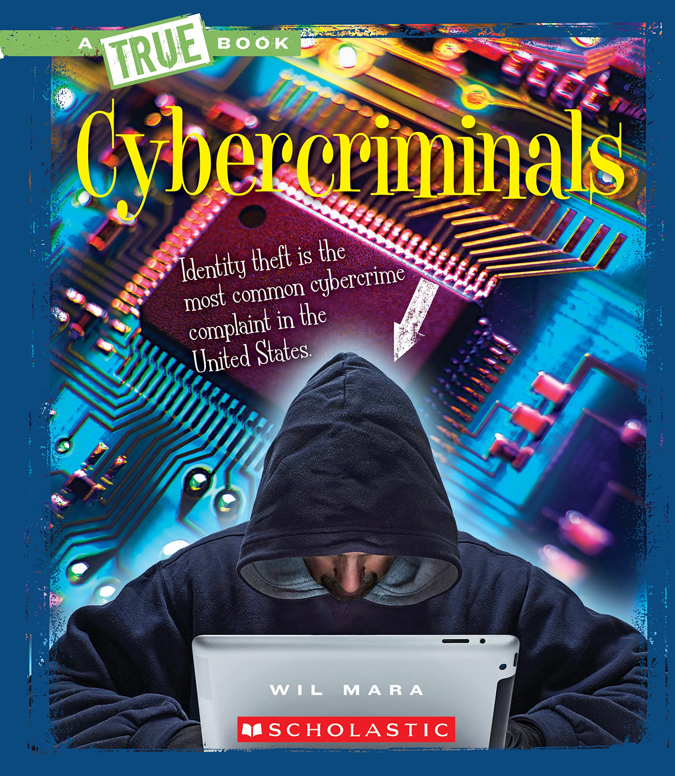 Cybercriminals (a True Book: The New Criminals) (True Books) Memories