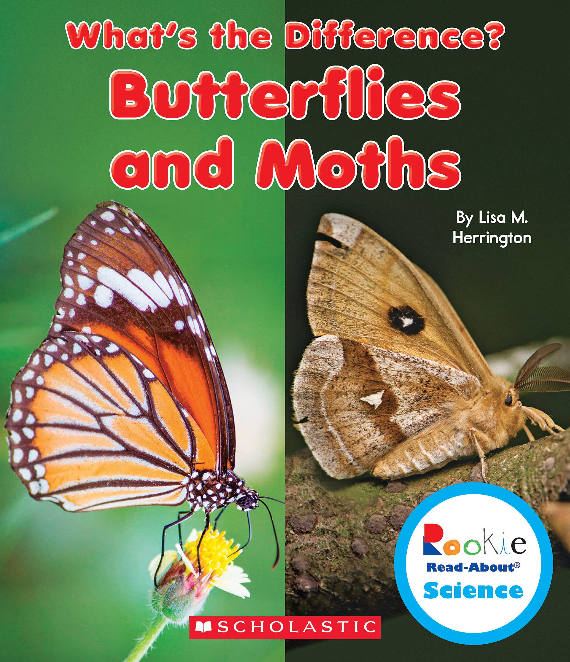 Butterflies and Moths (Rookie Read-About Science: What's the Difference?) Non-fiction