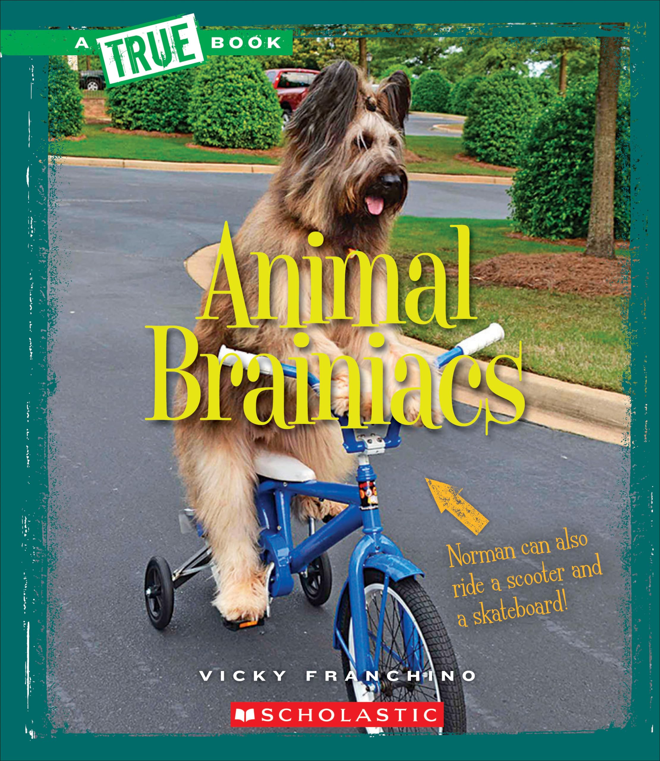 Animal Brainiacs (True Books: Amazing Animals) Business & Technology