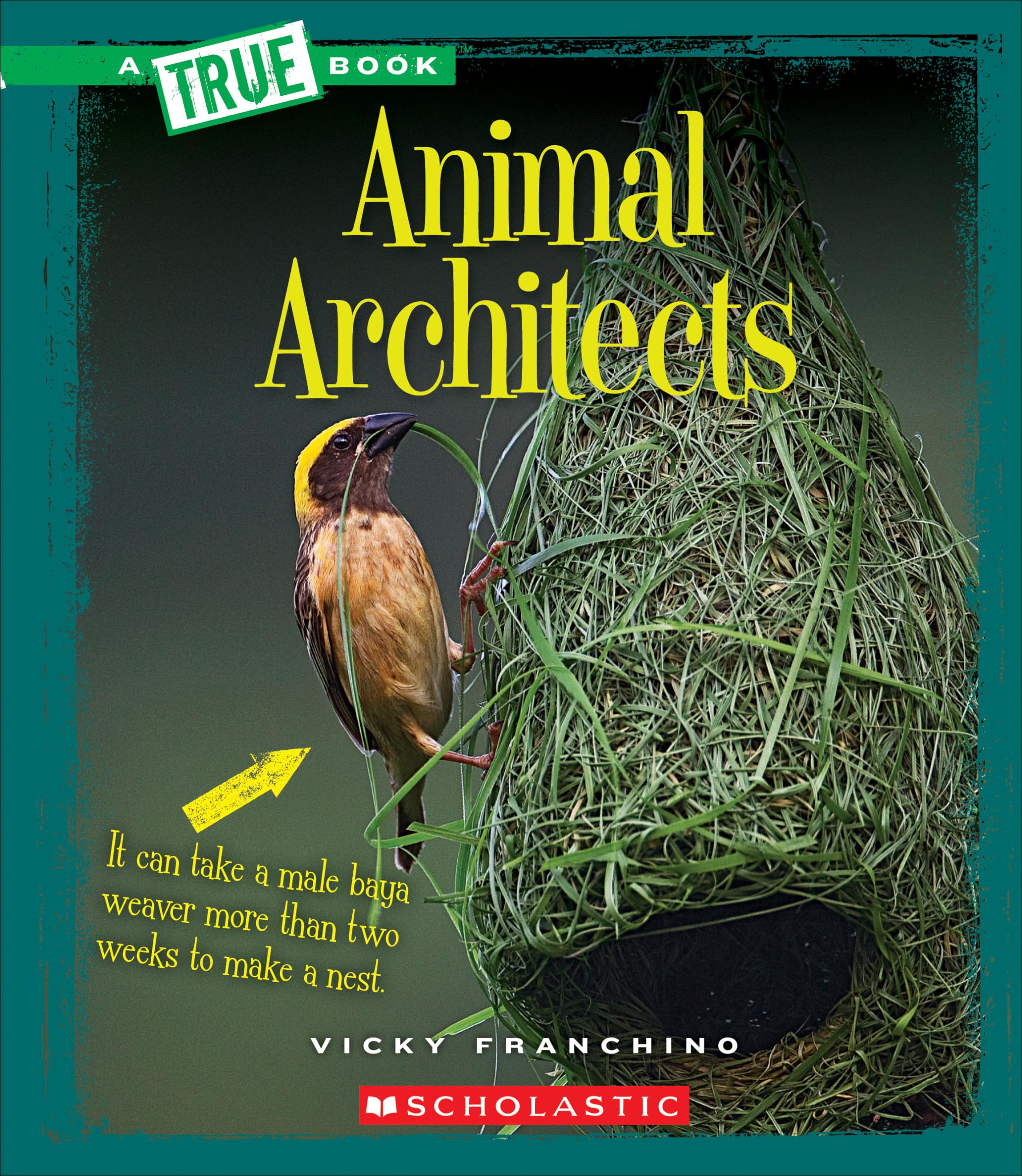 Animal Architects (True Book: Amazing Animals) Non-fiction