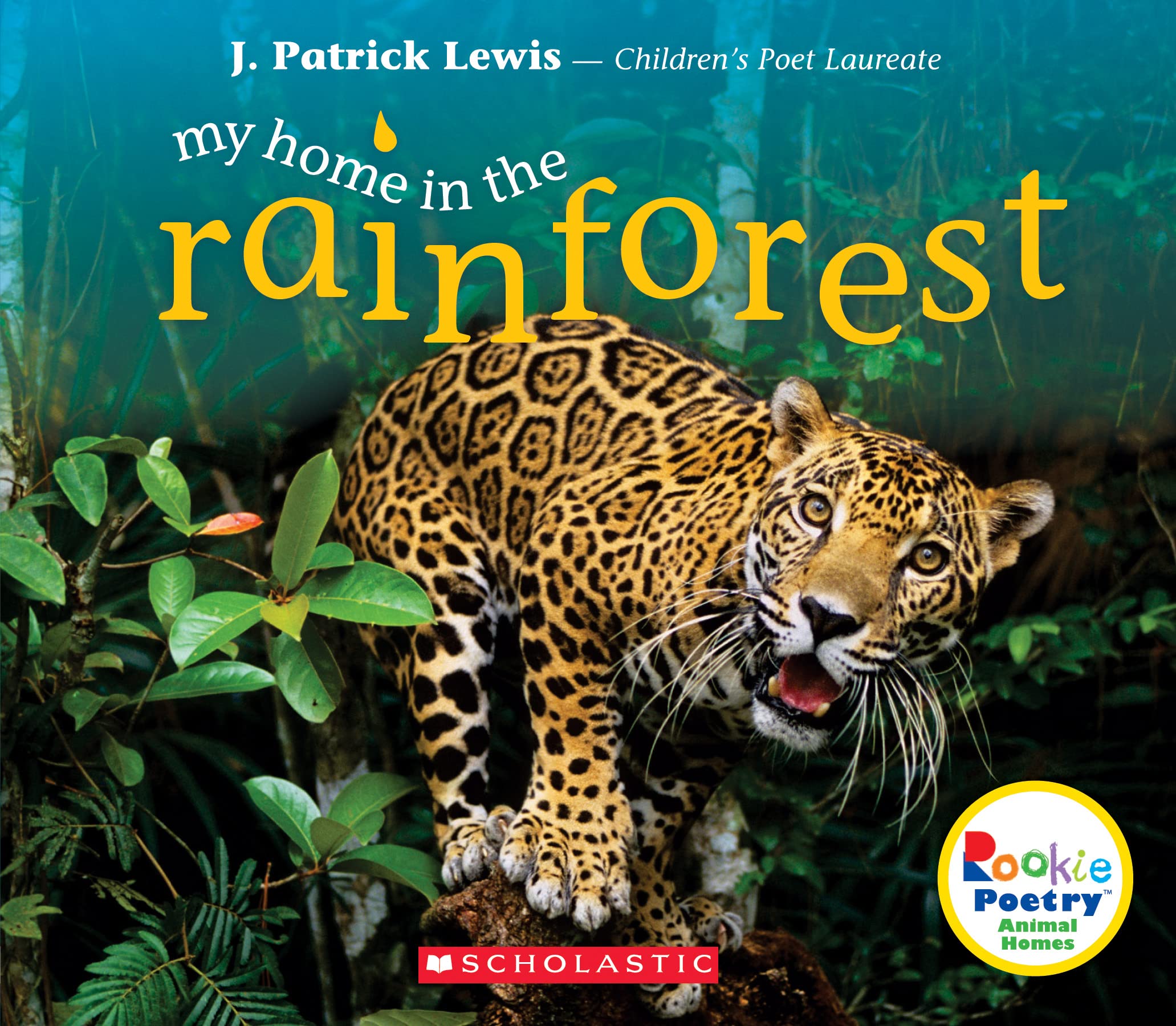 My Home in the Rainforest (Rookie Poetry: Animal Homes) Study Guides