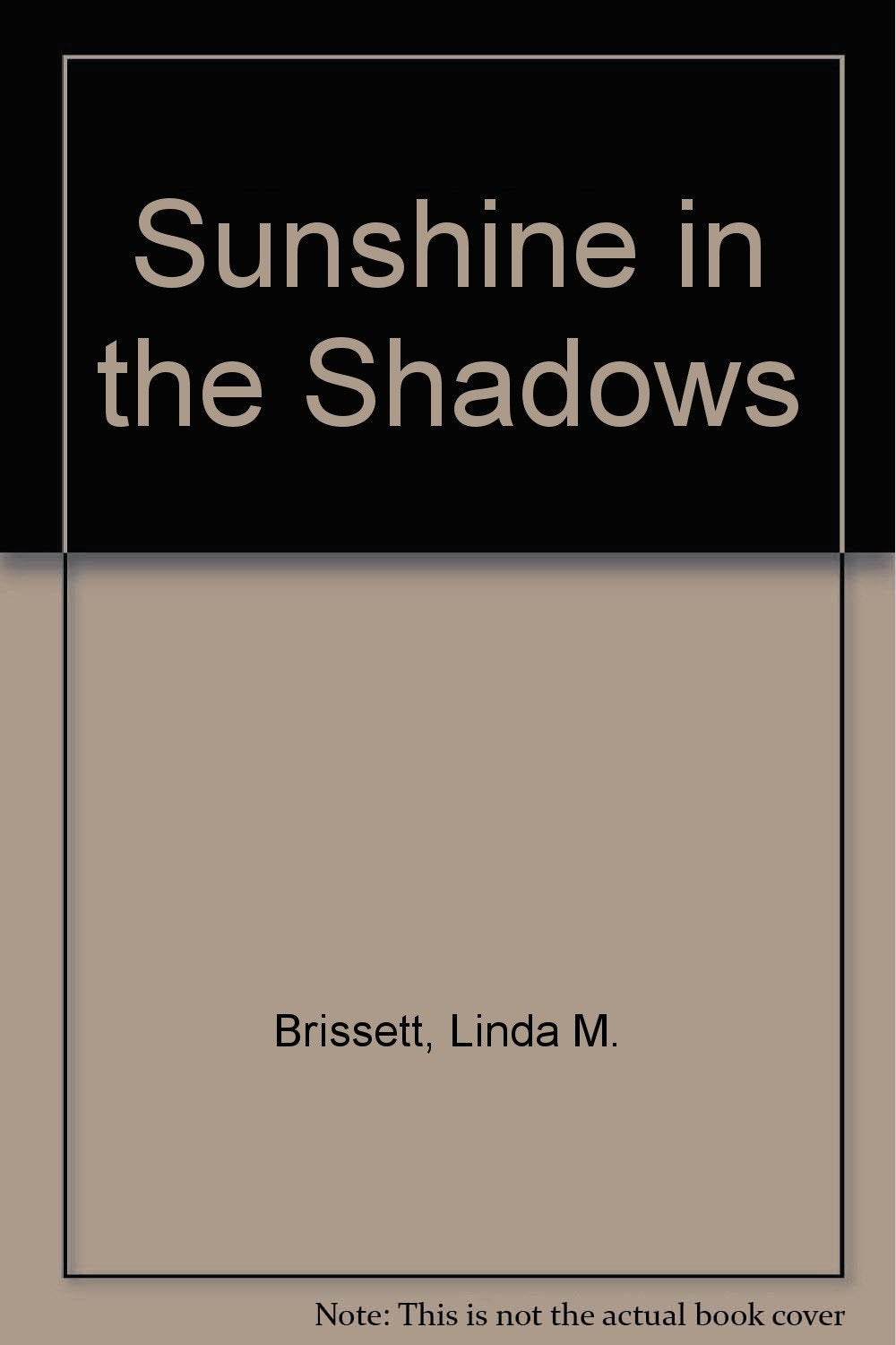 Sunshine in the Shadows Poetry