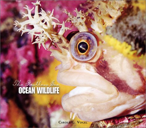 Ocean Wildlife (The Restless Sea) Books