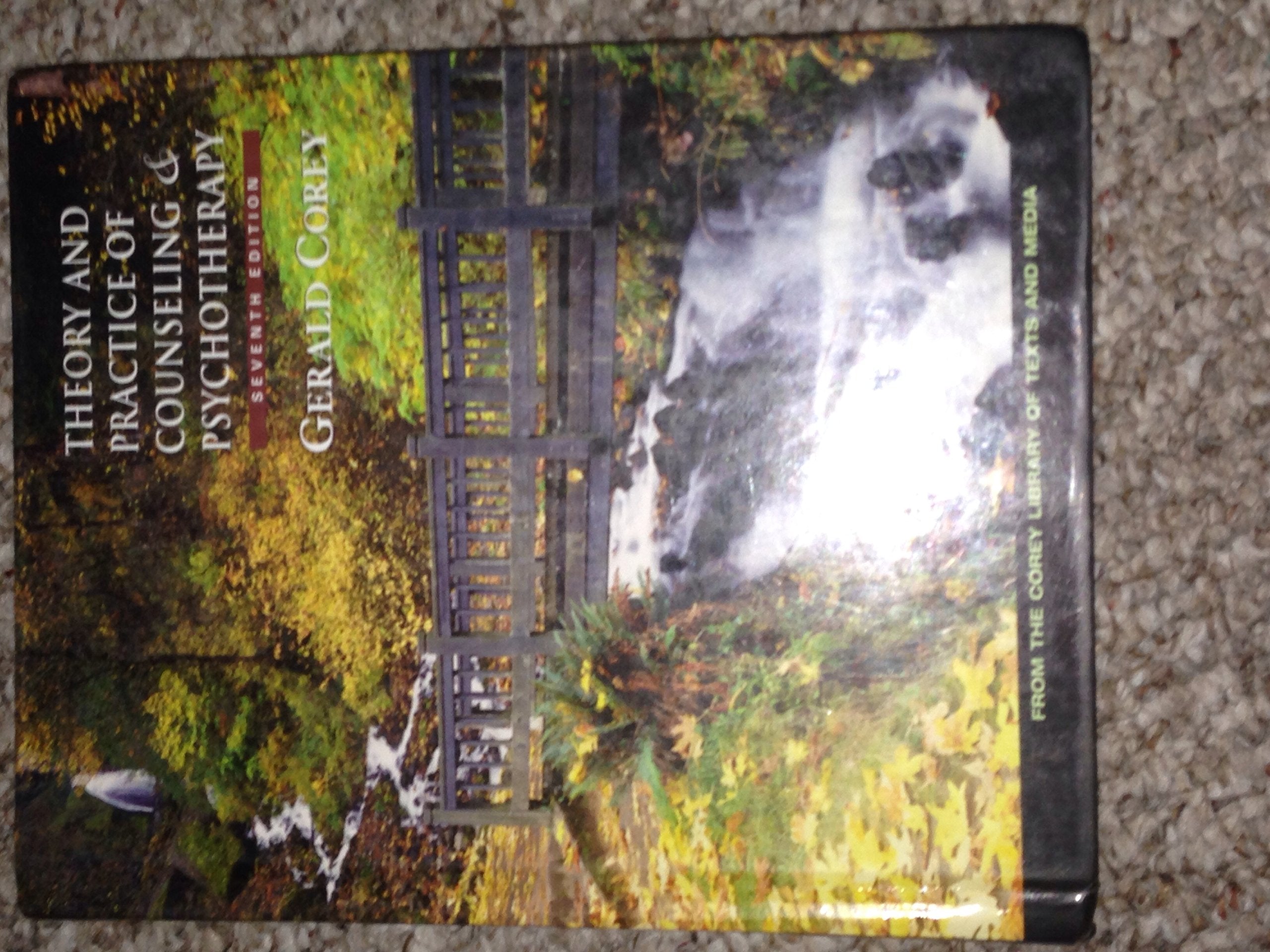 Theory and Practice of Counseling and Psychotherapy book