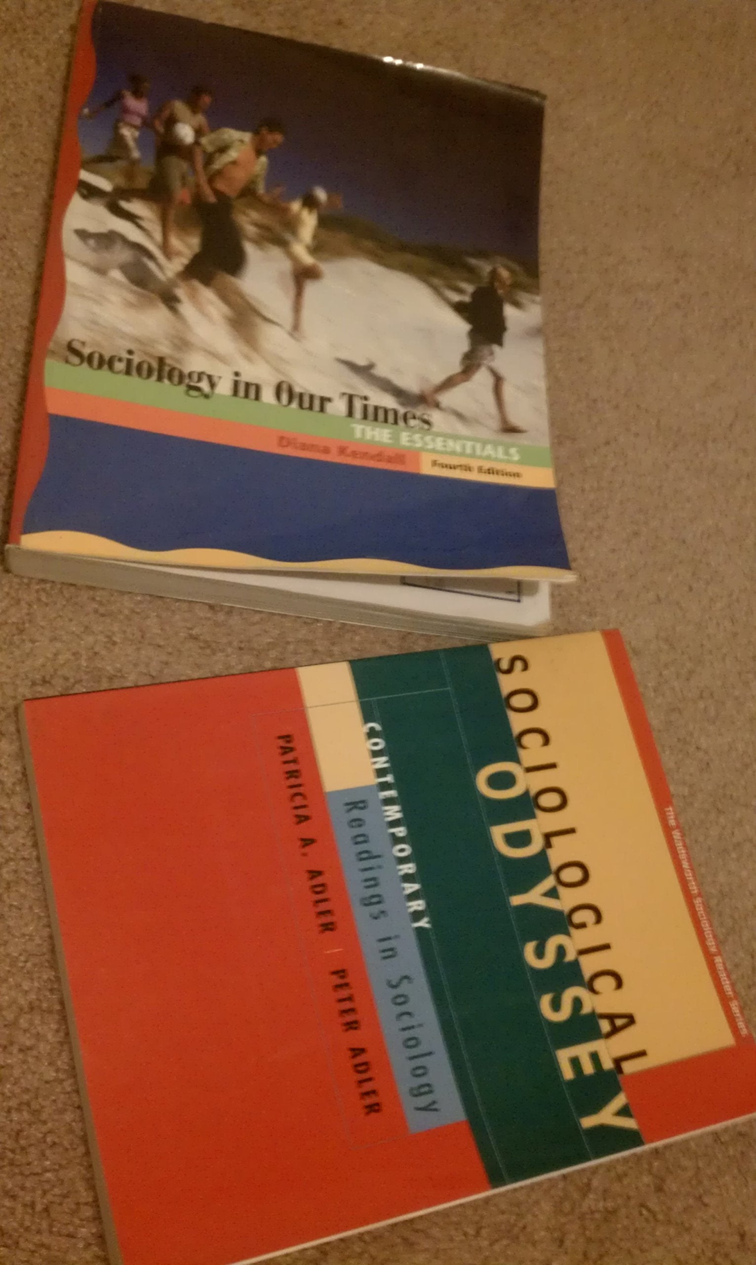 Essentials (Sociology in Our Times) Social Sciences