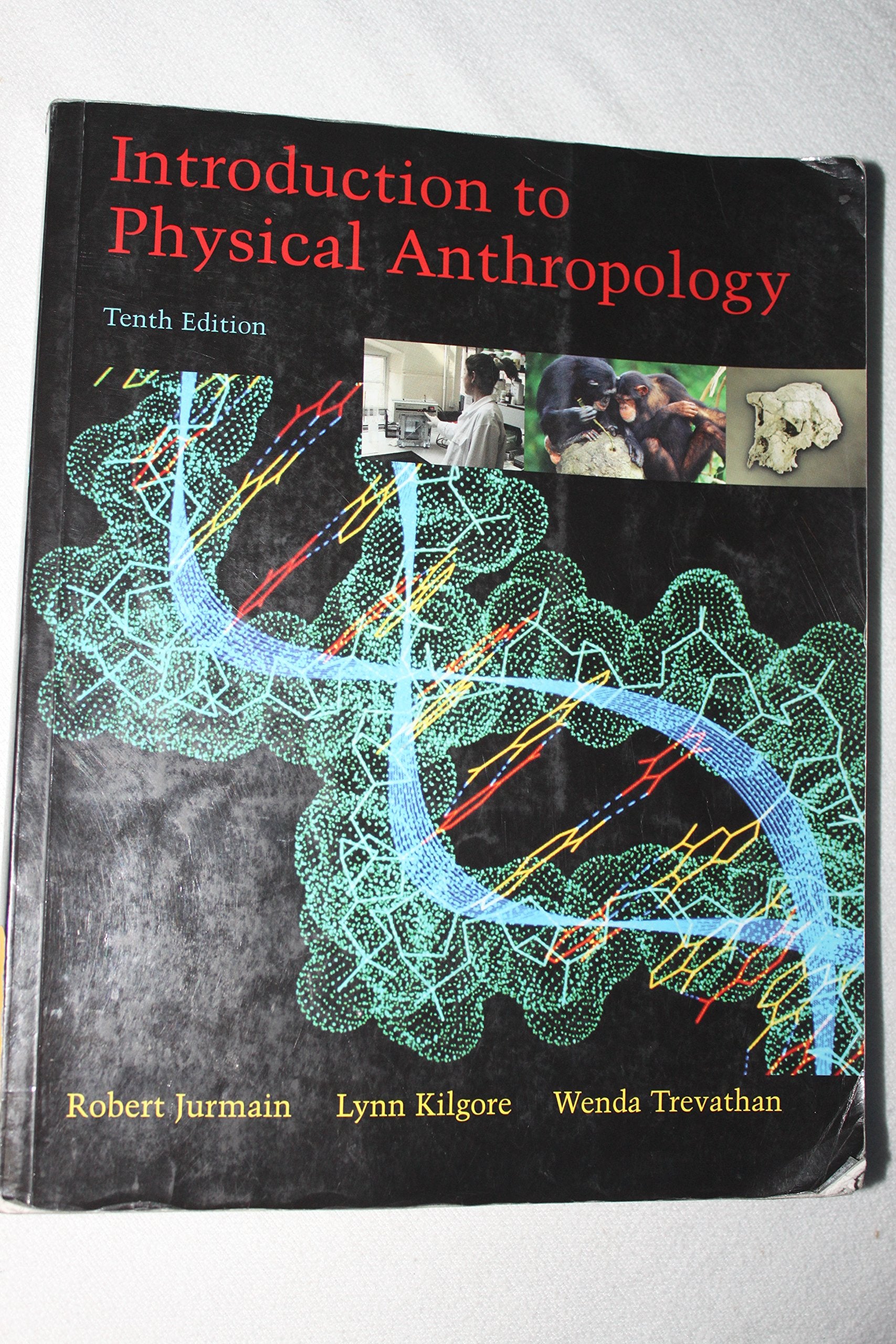 Introduction to Physical Anthropology (with InfoTrac) Social Sciences