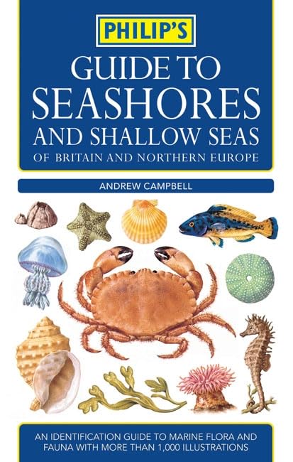 Philip's Guide to Seashores and Shallow Seas Mathematics
