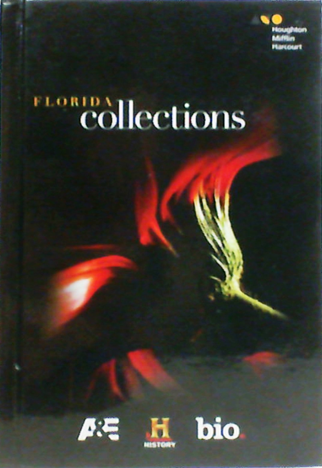 Houghton Mifflin Harcourt Collections Florida Grade 9 Learning & Reference