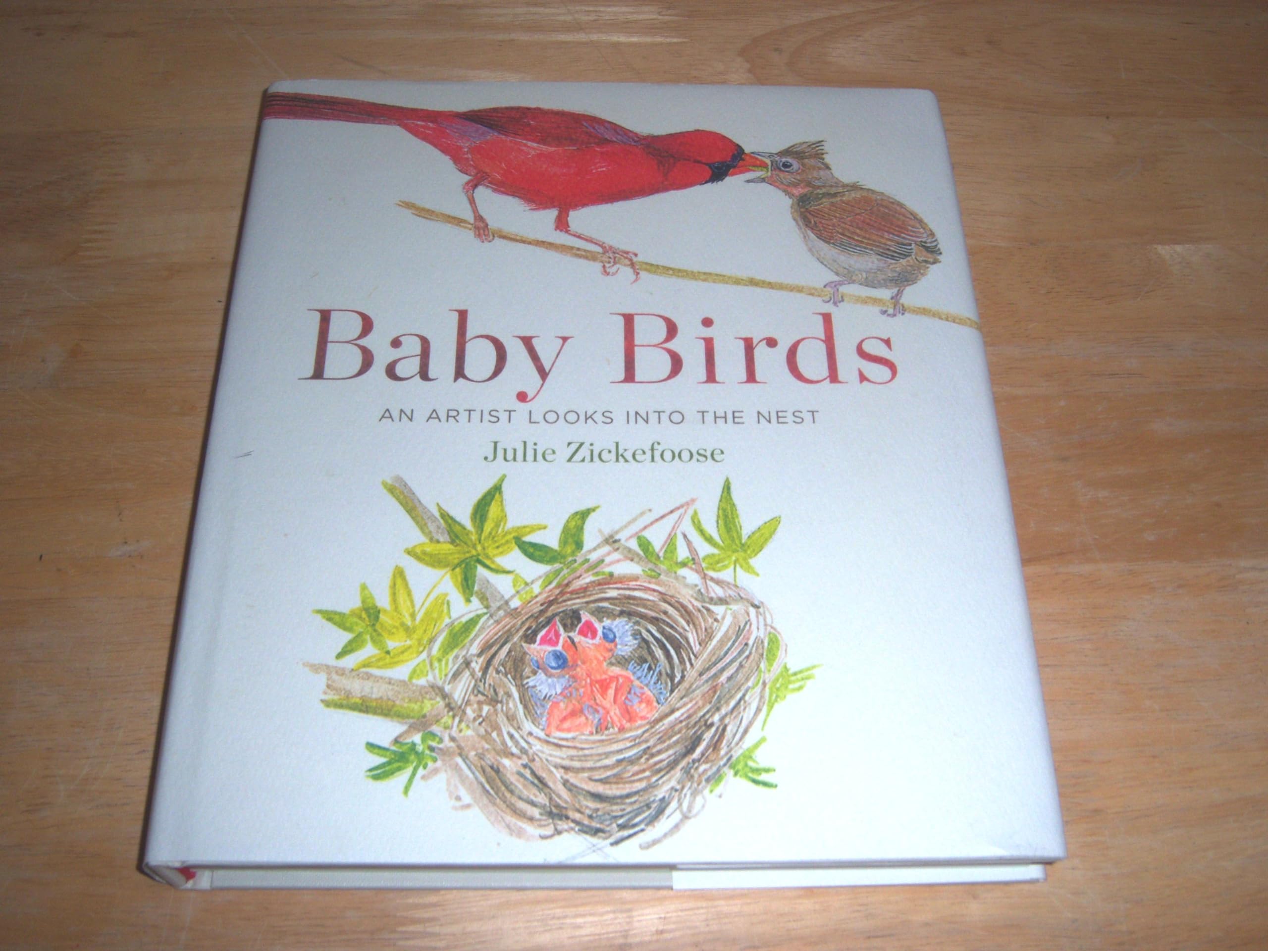 Baby Birds: An Artist Looks into the Nest Mathematics