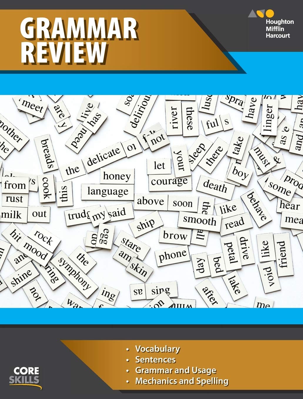 Steck-Vaughn Core Skills Grammar Review: Workbook Grades 6-8 (Steck-Vaughn College Refresher) General education