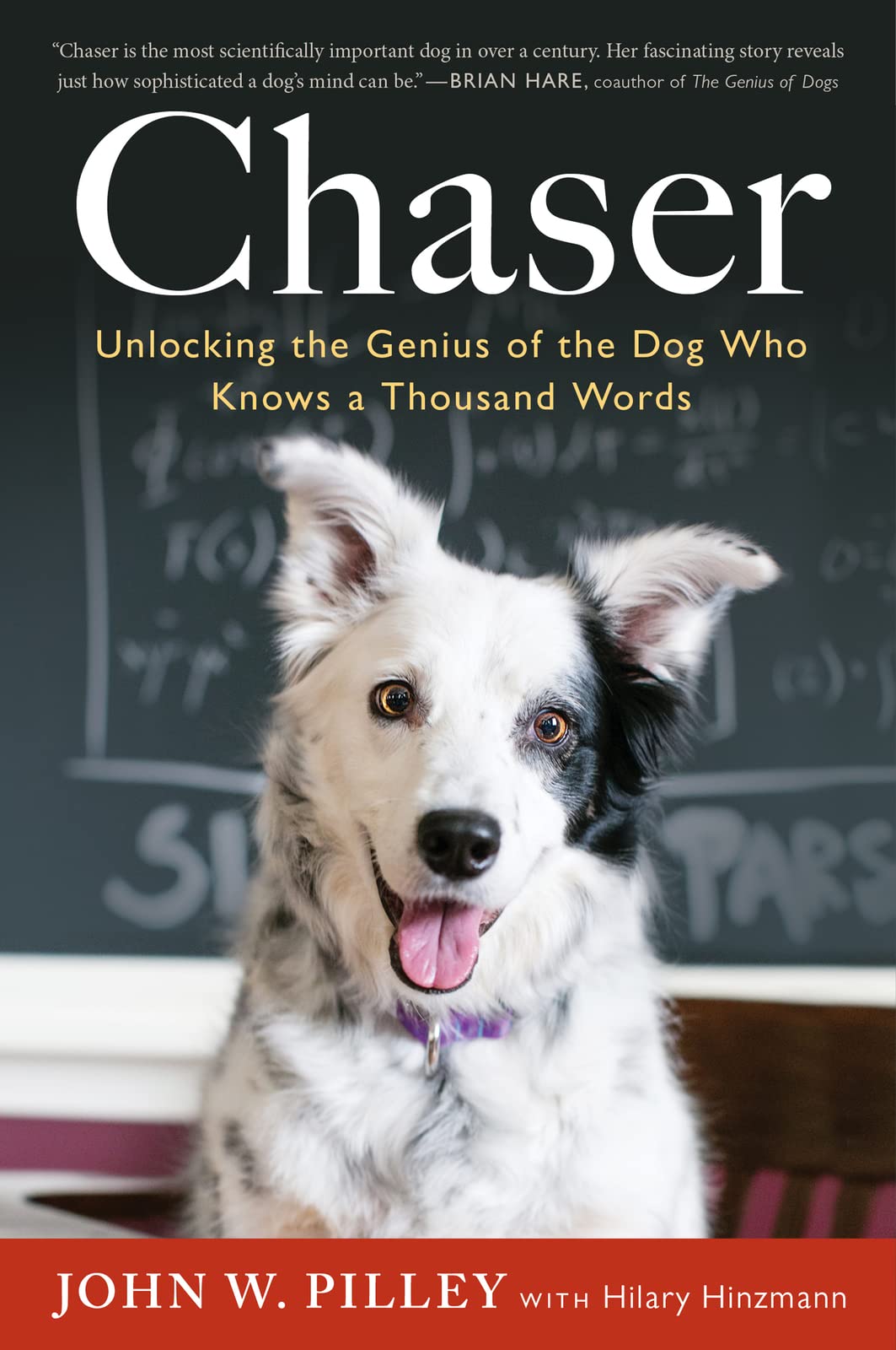 Chaser: Unlocking The Genius Of The Dog Who Knows A Thousand Words Pets