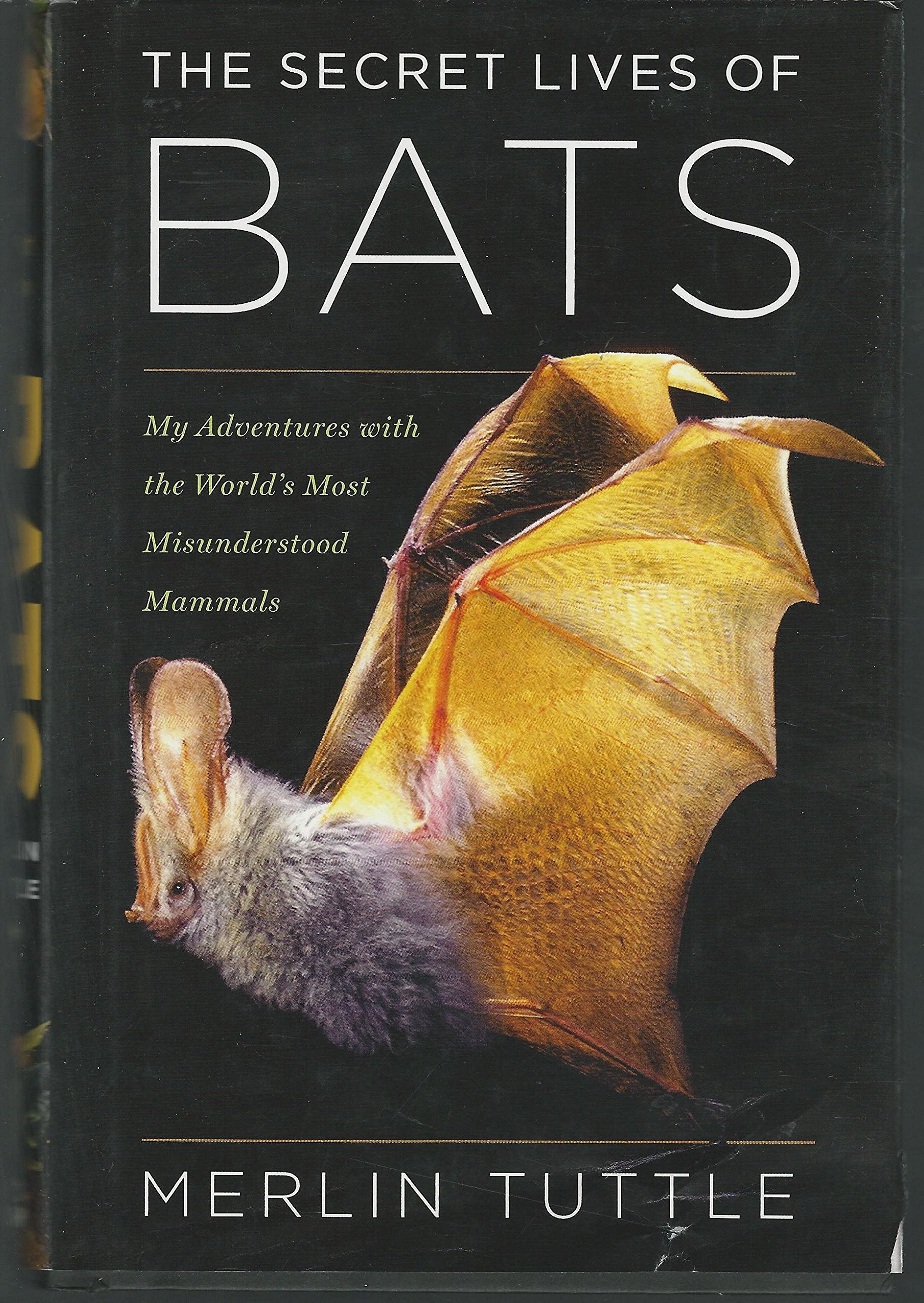 The Secret Lives of Bats: My Adventures with the World's Most Misunderstood Mammals Mathematics
