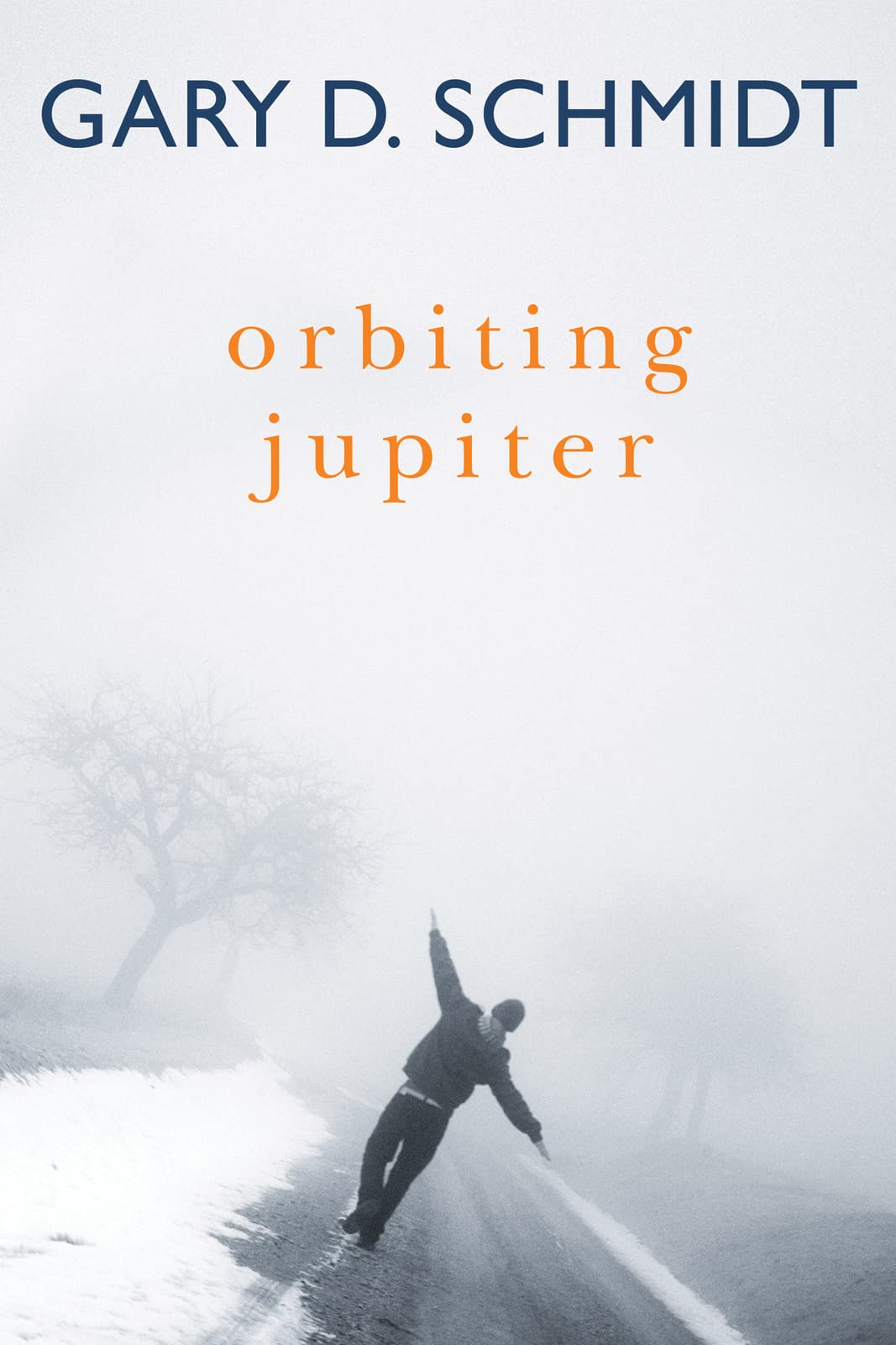 Orbiting Jupiter: A Heartfelt Coming-of-Age Novel of a Troubled Teen, Foster Family Bonds, and Friendship Fiction