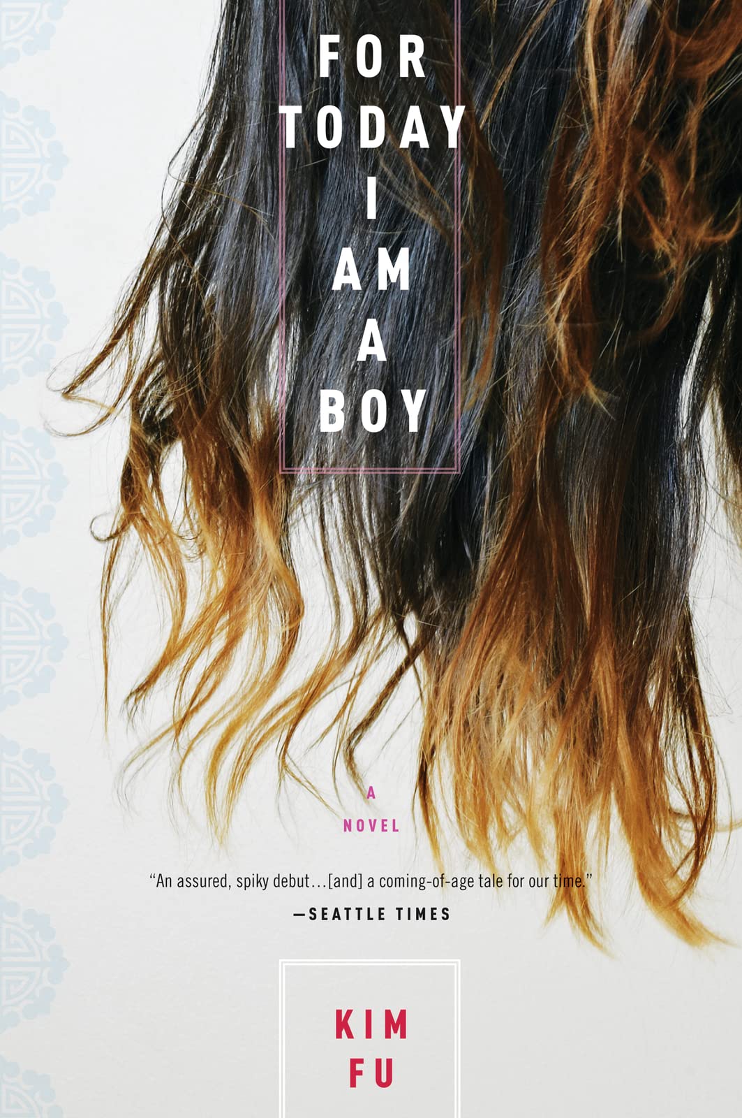 For Today I Am a Boy LGBTQ+ Books