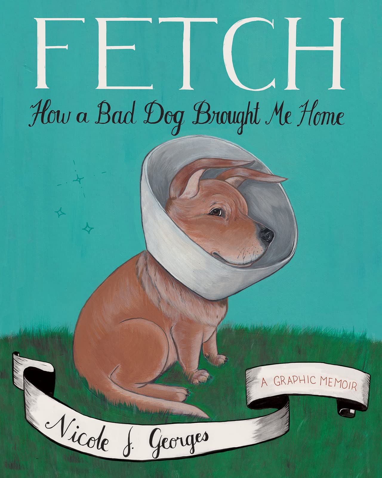 Fetch: How a Bad Dog Brought Me Home book