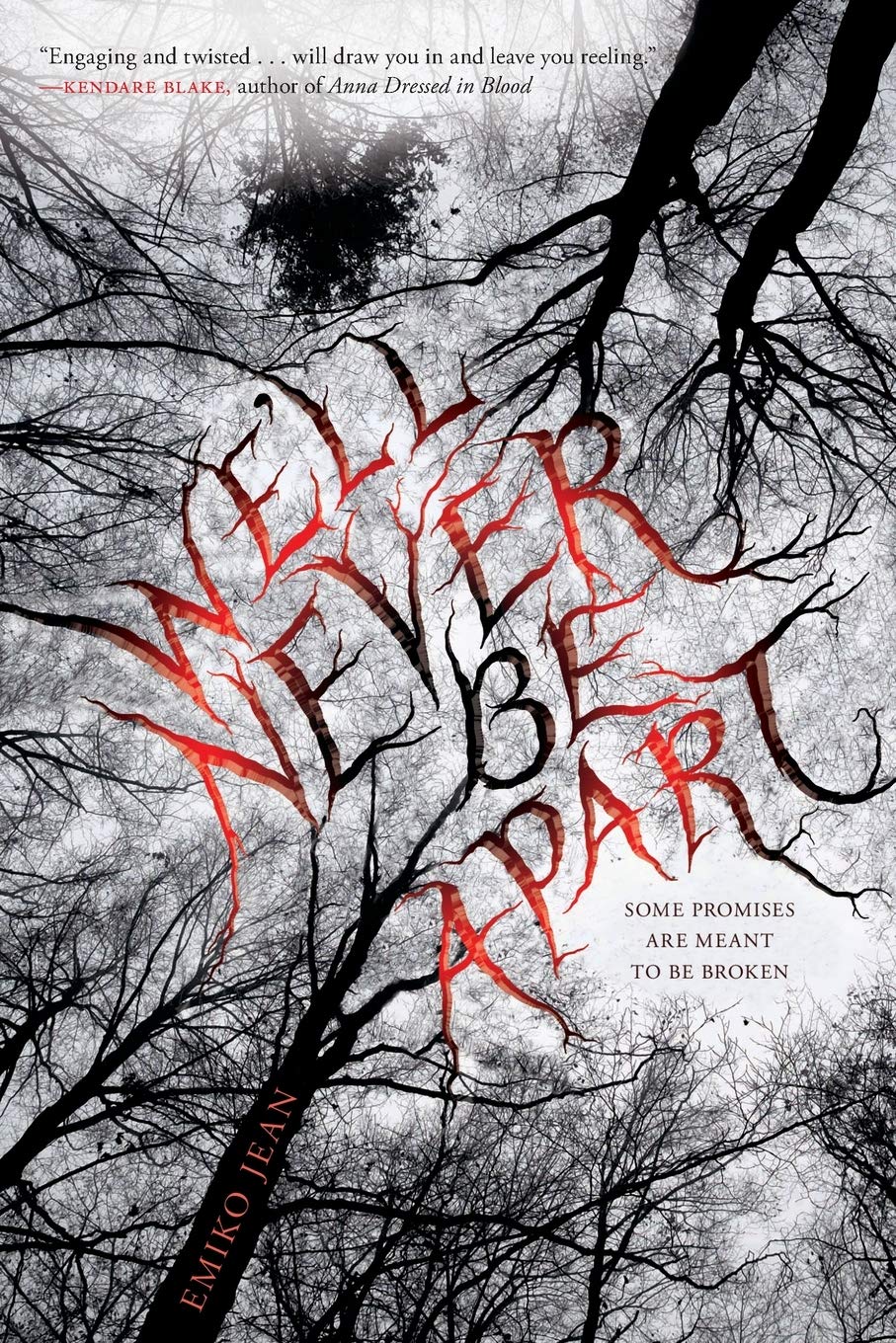 We'll Never Be Apart: A Gripping Debut YA Thriller of Secrets, Fire, and a Sister's Dark Revenge Horror & Mystery