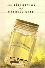 The Liberation of Gabriel King (Literature Circle Books