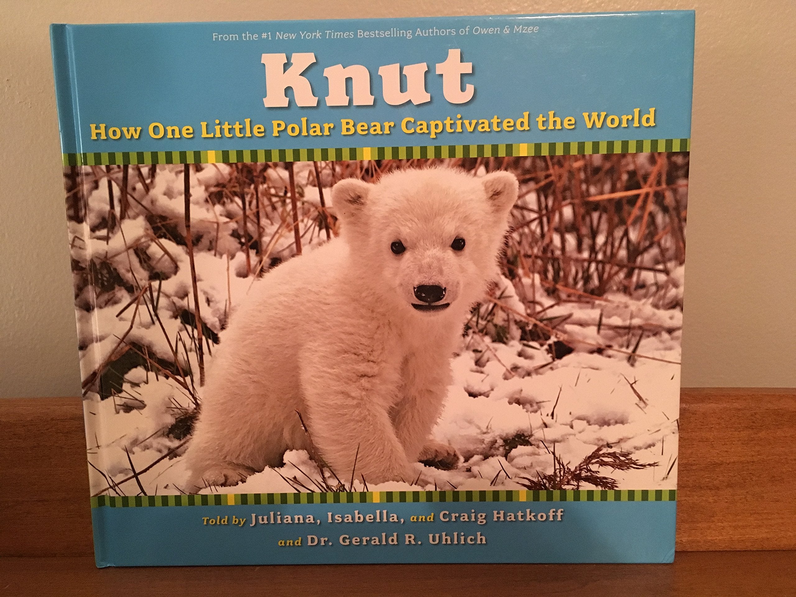 Knut: How One Little Polar Bear Captivated the World Non-fiction