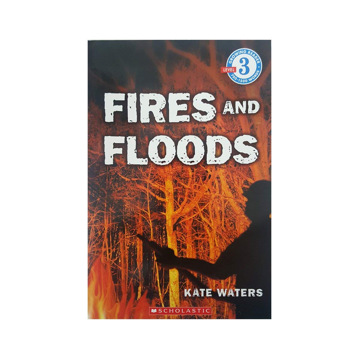 Fires and Floods (Growing Reader, Level 3) Books