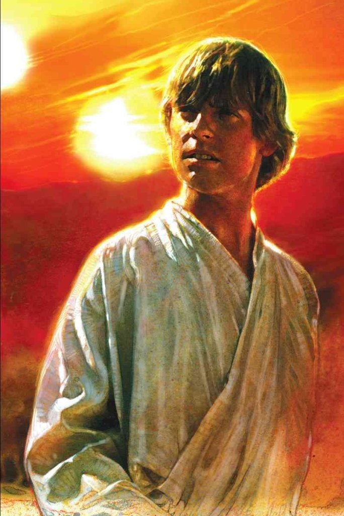 Star Wars: A New Hope: The Life of Luke Skywalker book