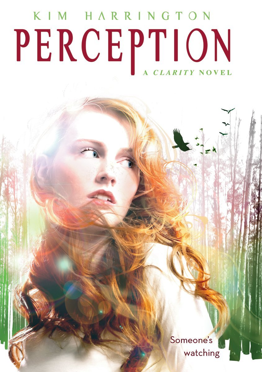 Perception: A Clarity Novel Fiction books for children