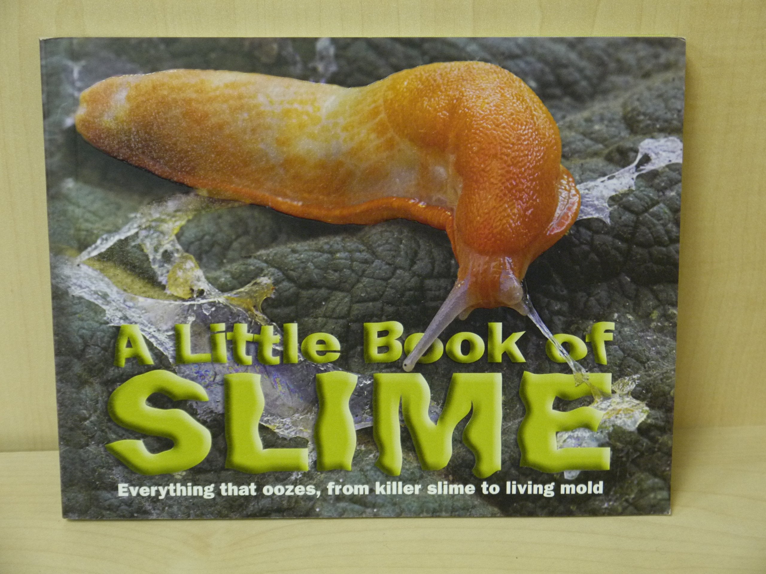 A Little Book of Slime Books