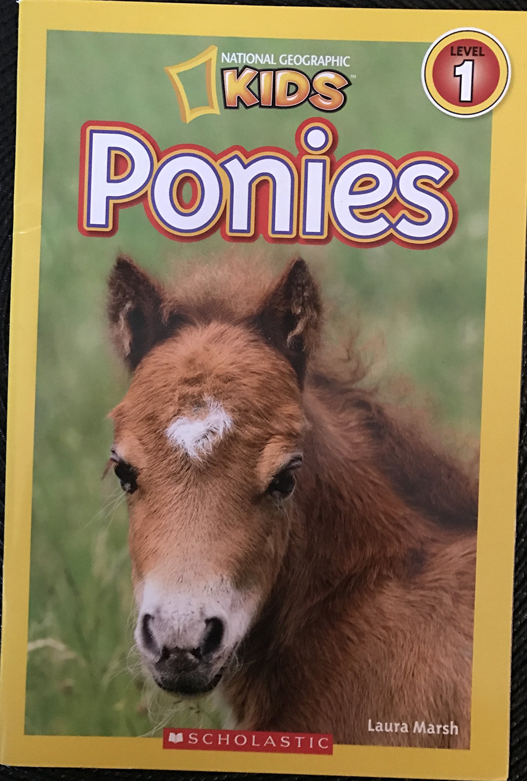 National Geographic Kids Ponies Books