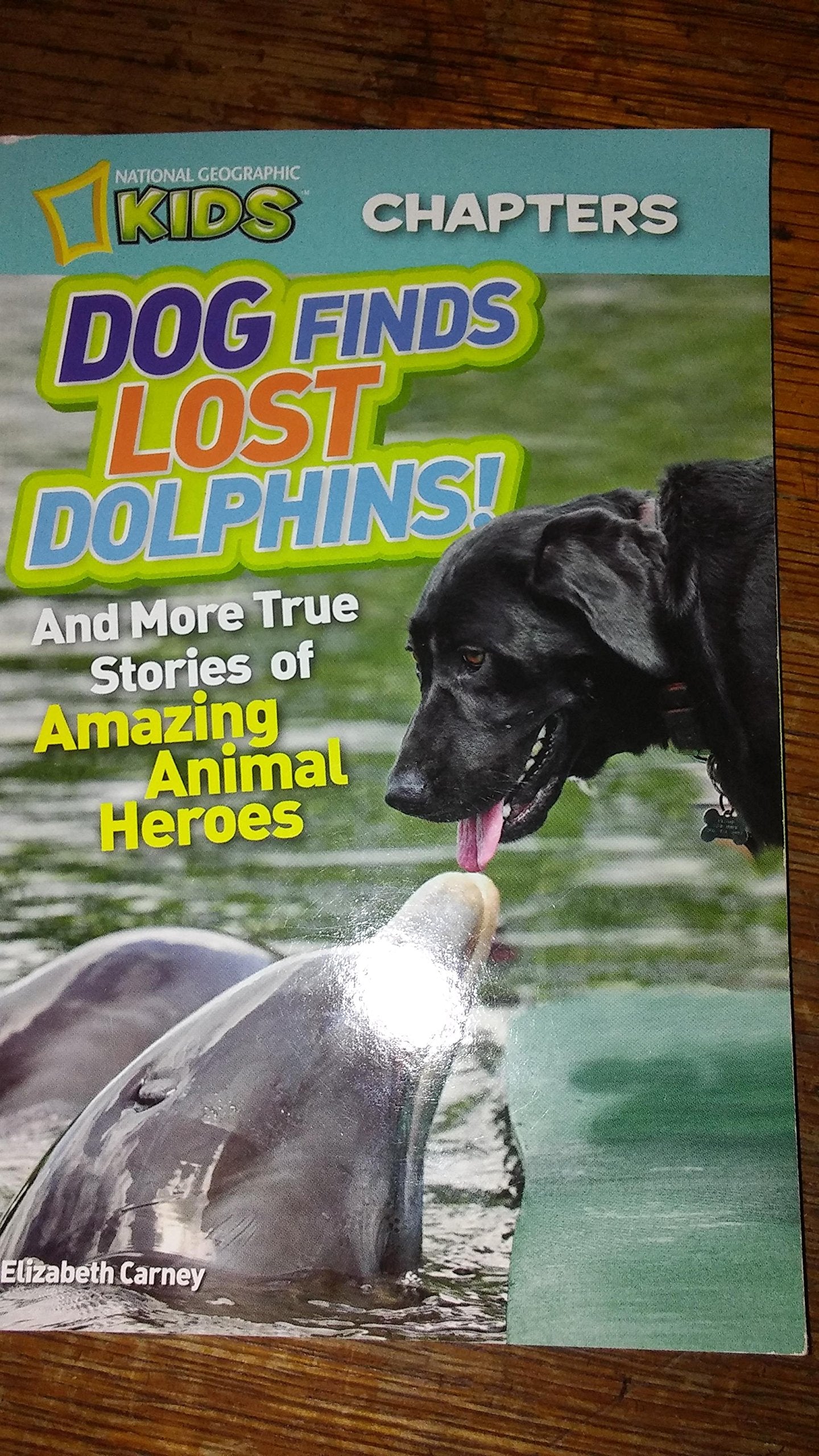 DOG FINDS LOST DOLPHIN!! AND MORE TRUE STORIES OF Books