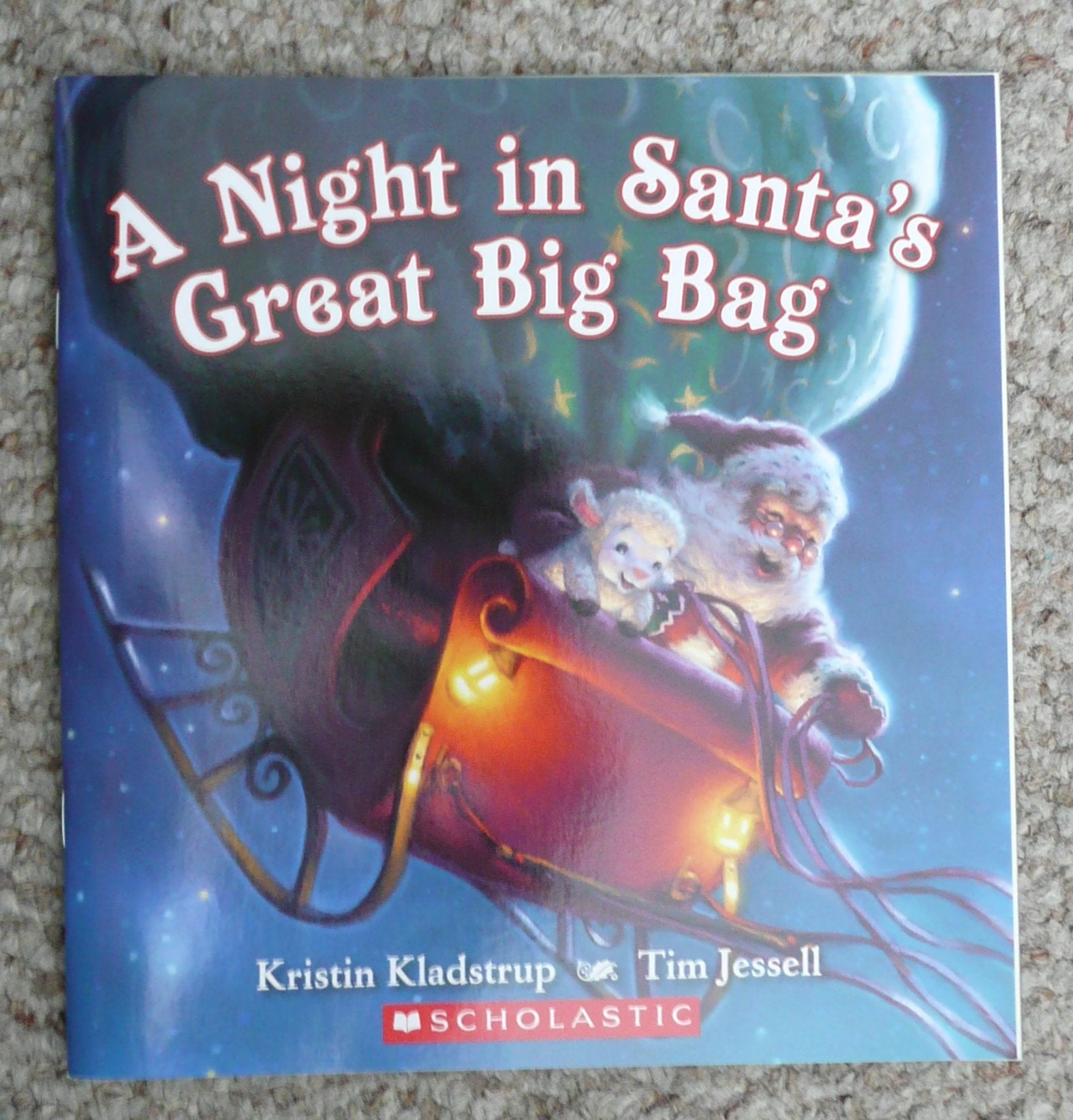 A Night in Santa's Great Big Bag book