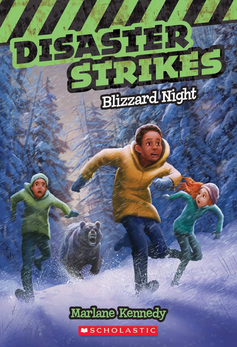 Blizzard Night (Disaster Strikes, 3, Band 3) Non-fiction