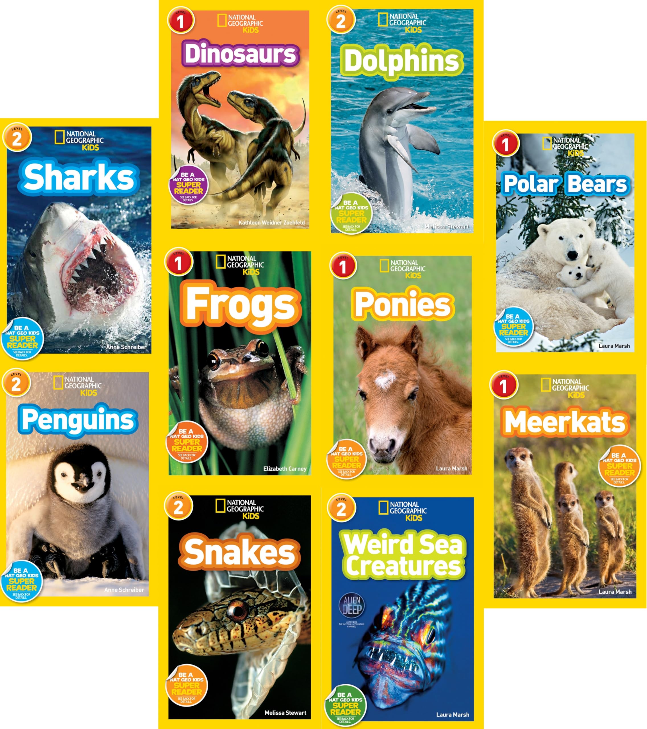 National Geographic Kids 10 Book Set (Lvl 1-dinosaurs, Meetkats, Frogs, Polar Bears, Ponies; Lvl 2-dolphins, Sharks, Snakes, Weird Sea Creatures, Penguins Books