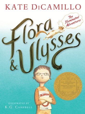 Flors and Ulysses: The Illuminated Adventure book
