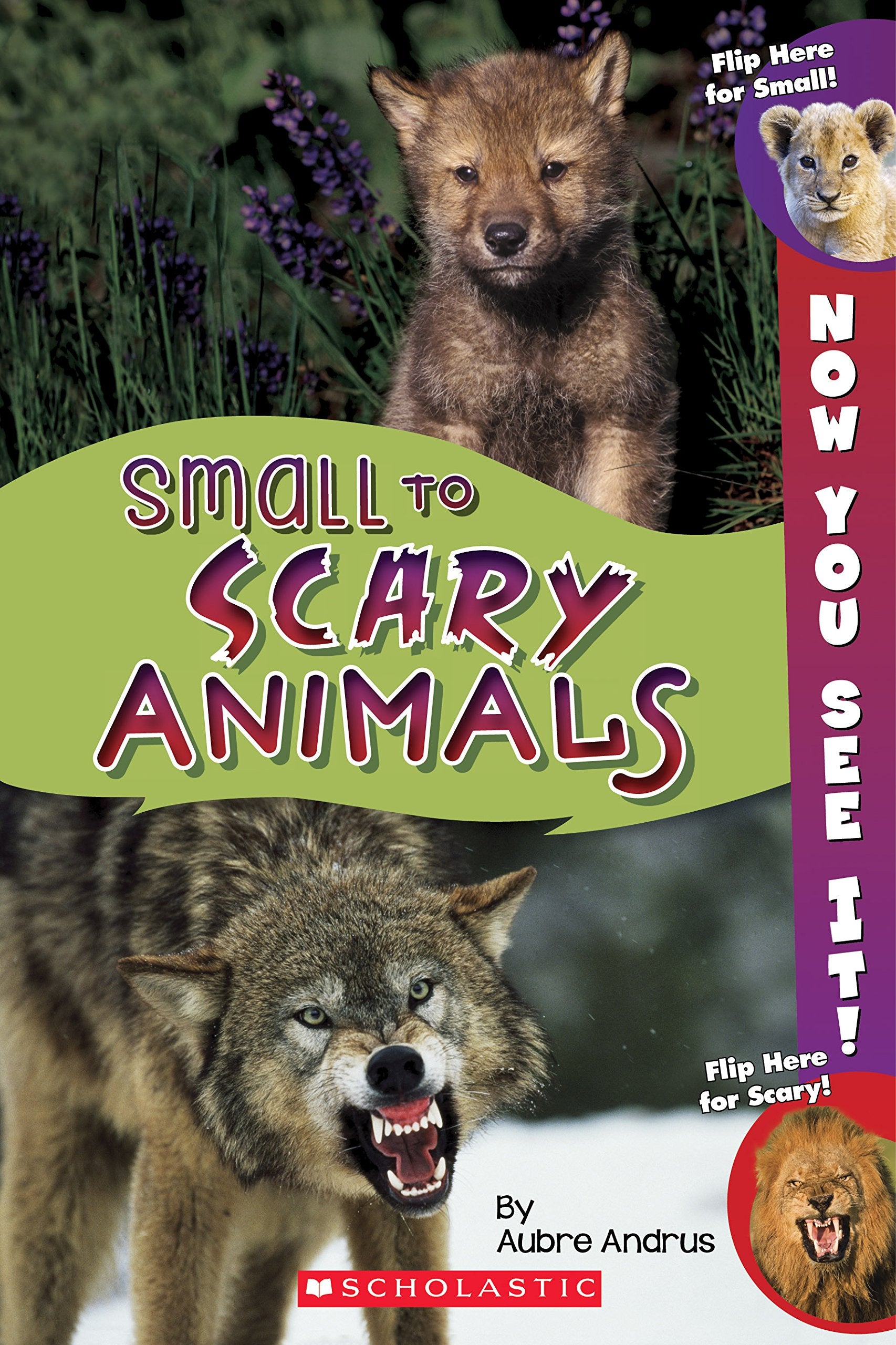 Now You See It! Small to Scary Animals Parents & Children