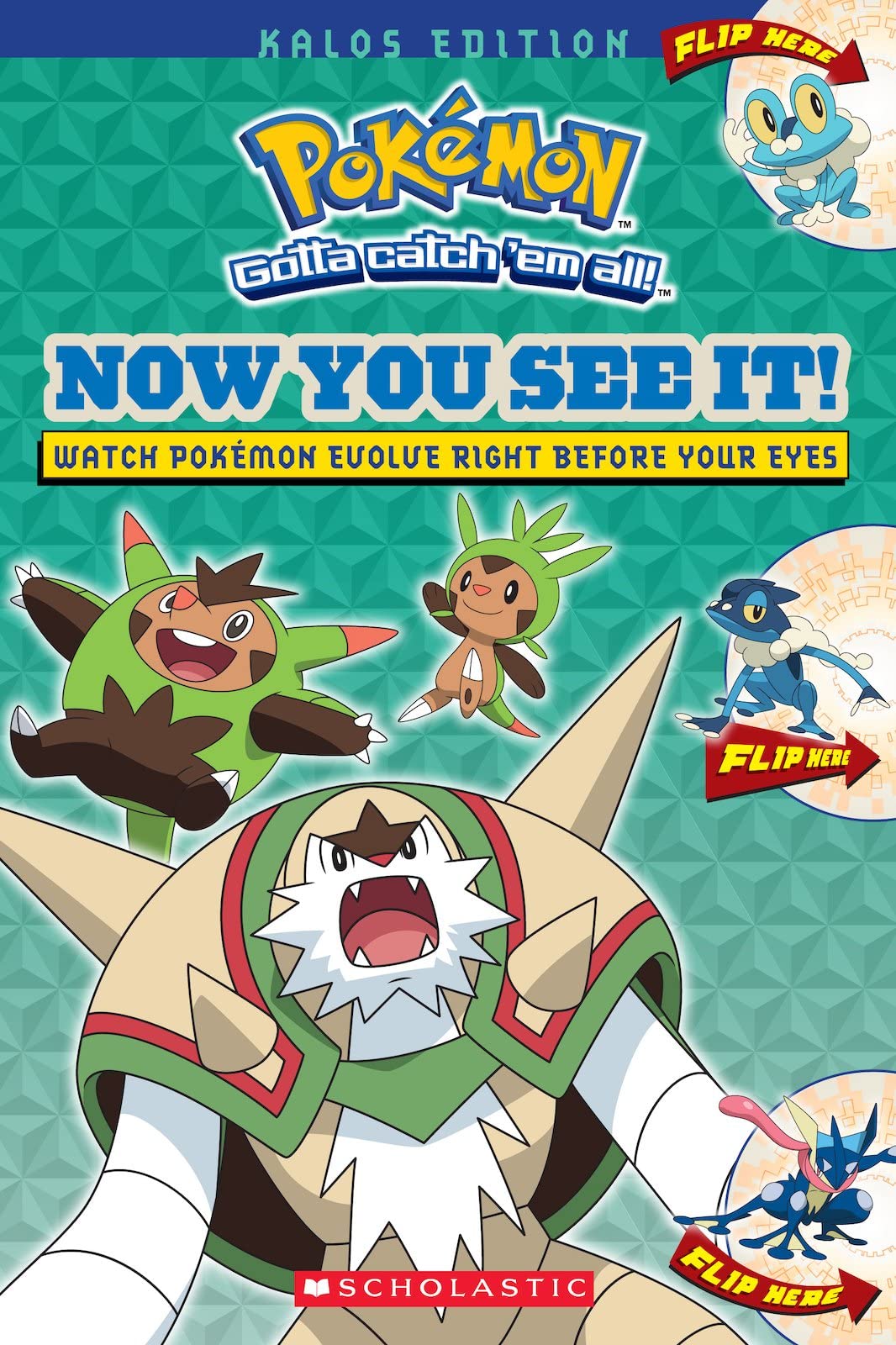 Now You See It! Kalos Edition (Pokemon Gotta Catch 'em All!) Novels & Short Stories