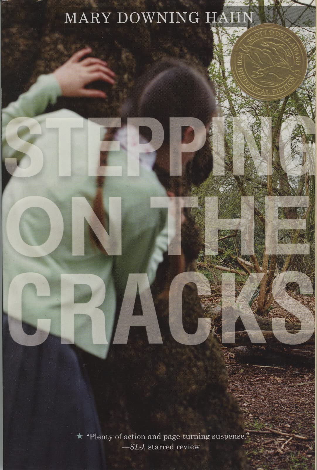 Product Image: Stepping on the Cracks