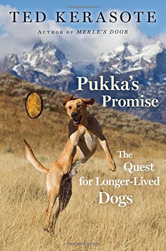 Pukka's Promise: The Quest for Longer-Lived Dogs Mathematics