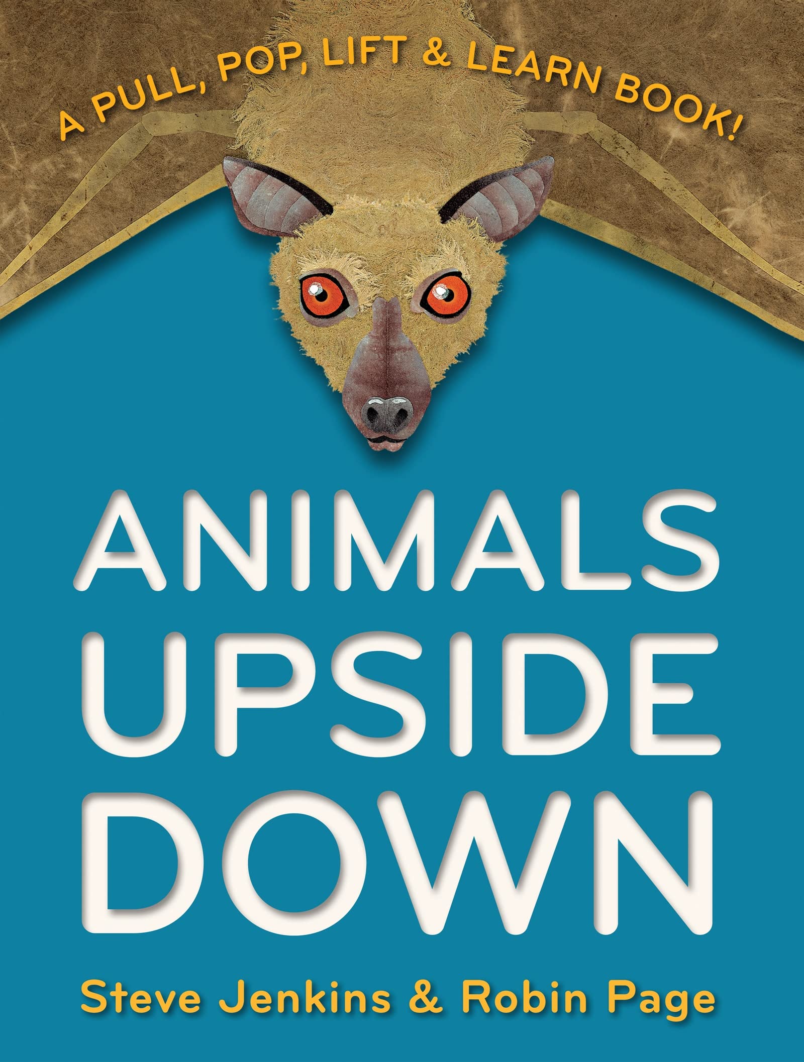 Animals Upside Down: A Pull, Pop, Lift & Learn Book! Non-fiction books for kids