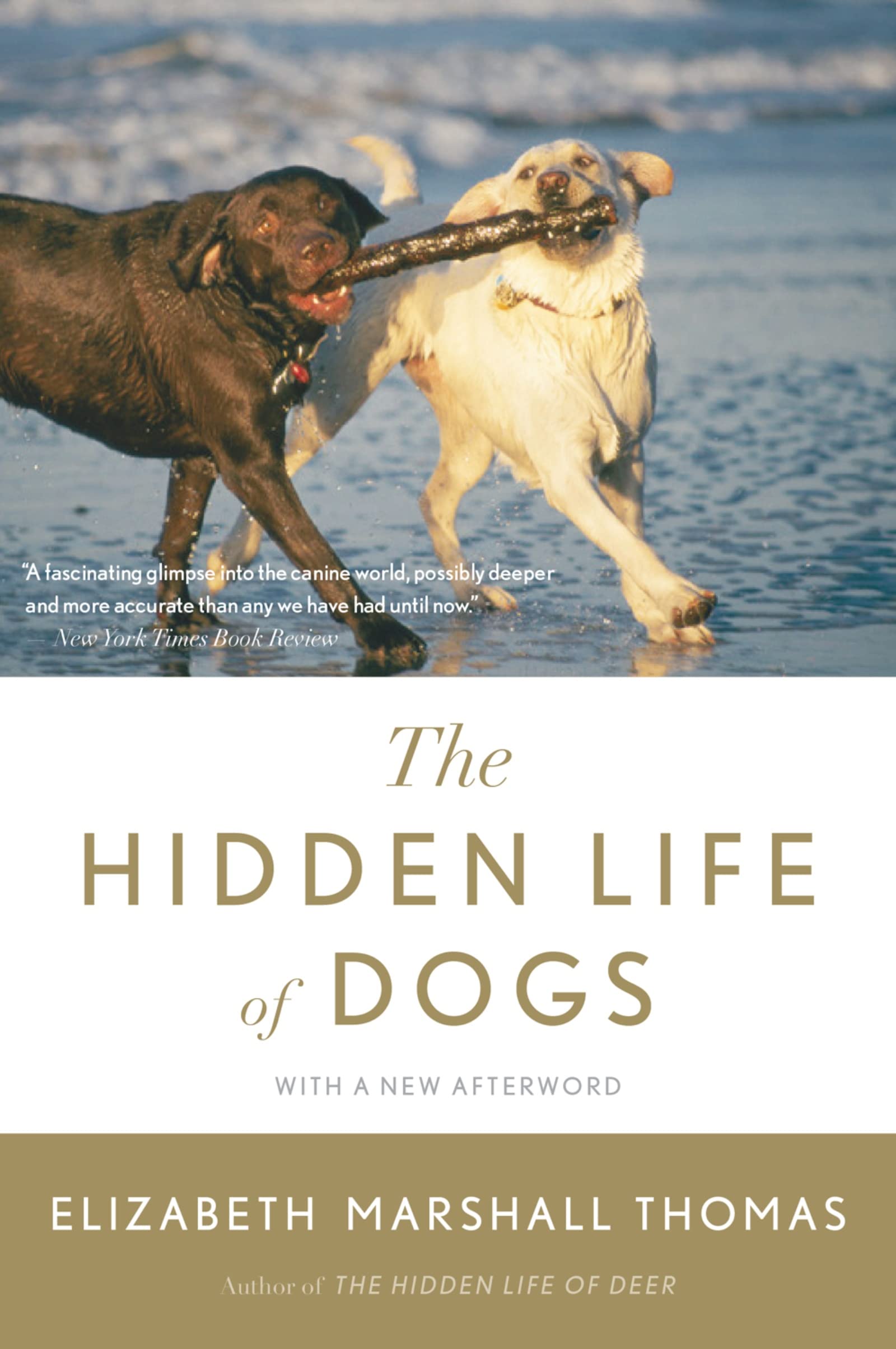 Hidden Life of Dogs, The Social Sciences