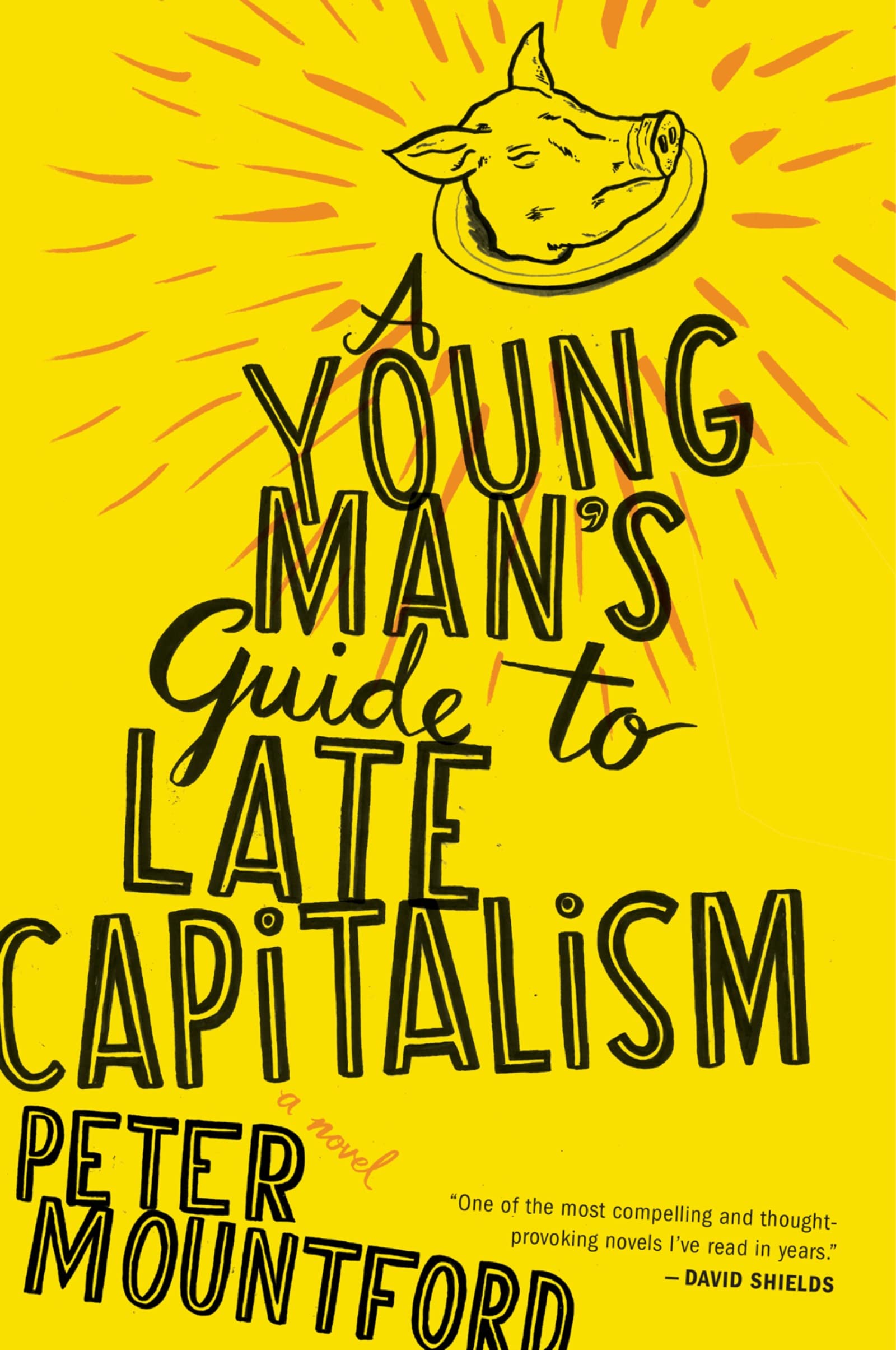 A Young Man's Guide to Late Capitalism Historical Fiction