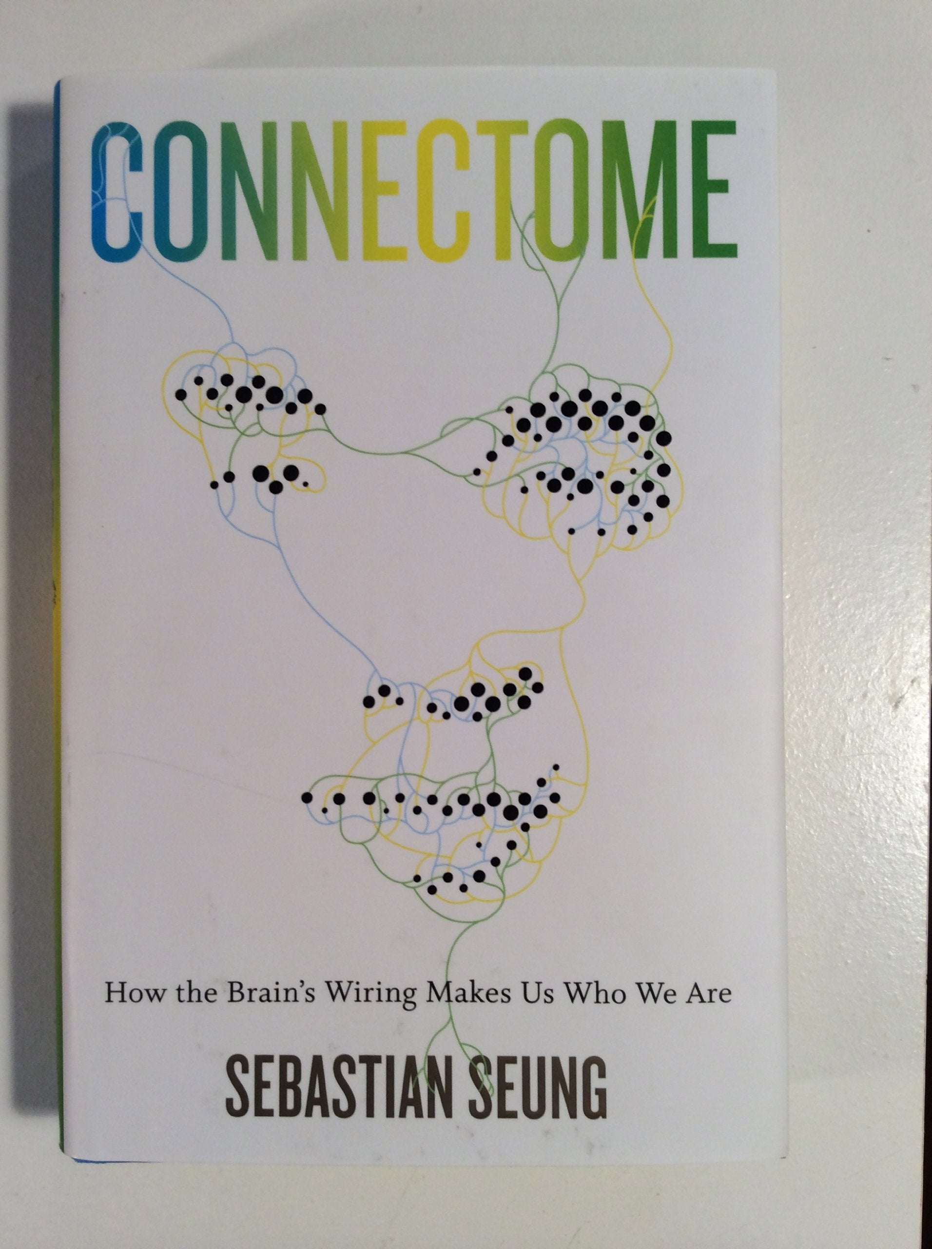 Connectome: How the Brain's Wiring Makes Us Who We Are Natural Sciences