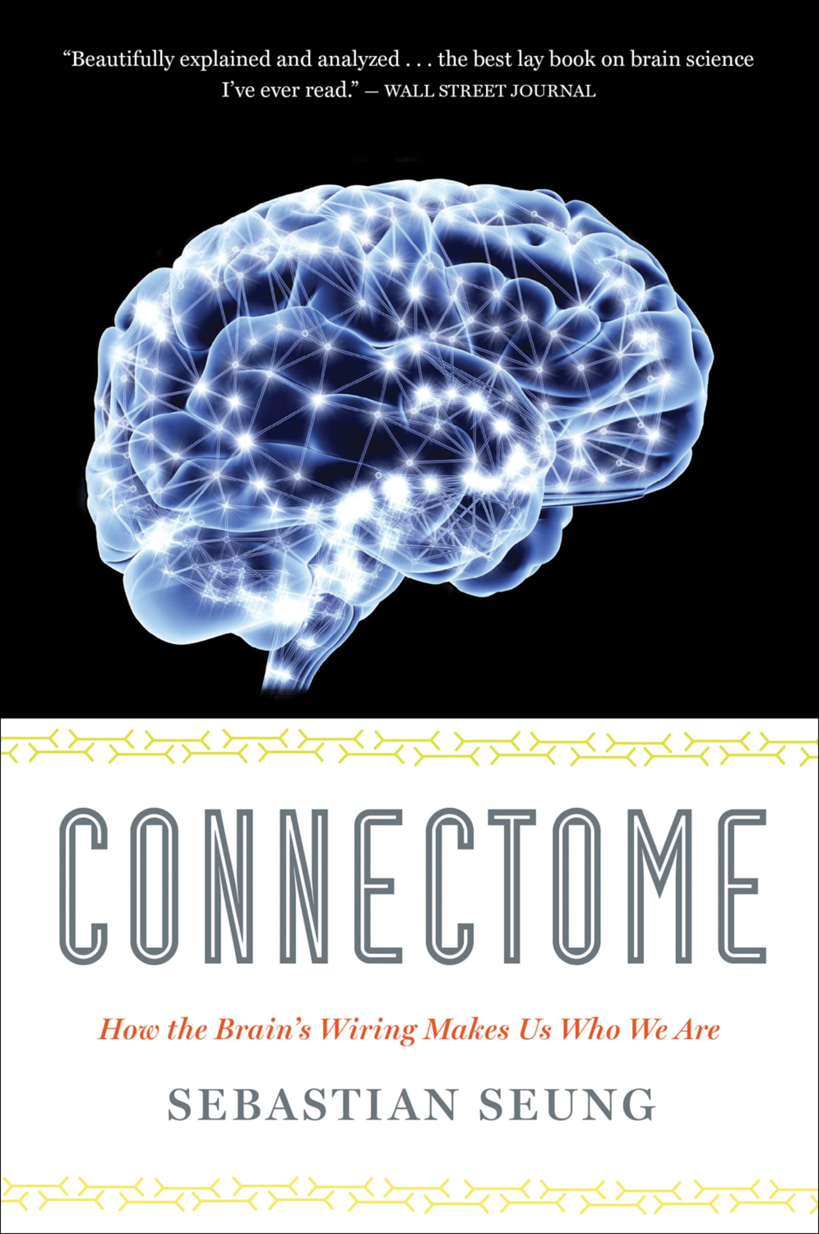 Connectome Medicine