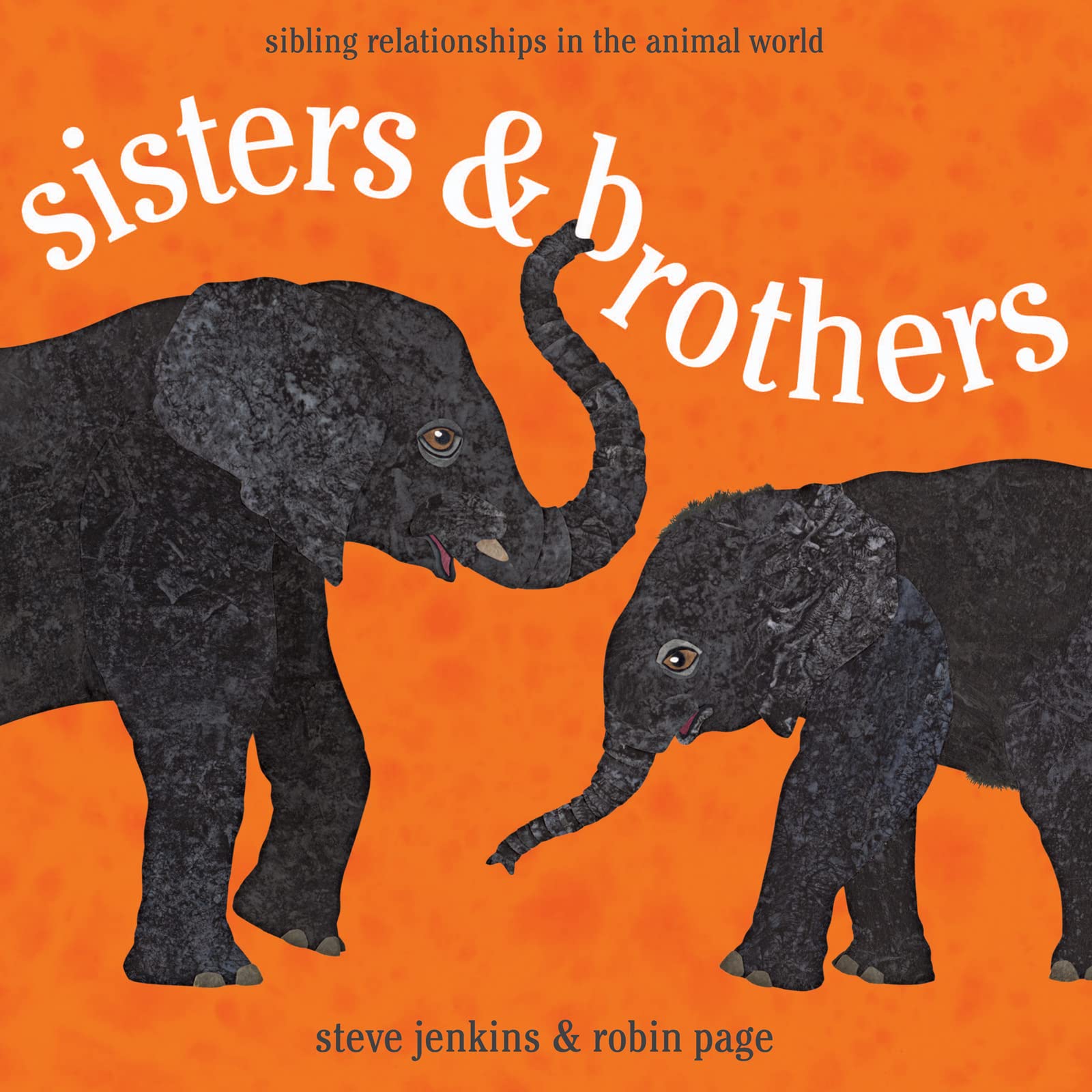 Sisters and Brothers: Sibling Relationships in the Animal World book